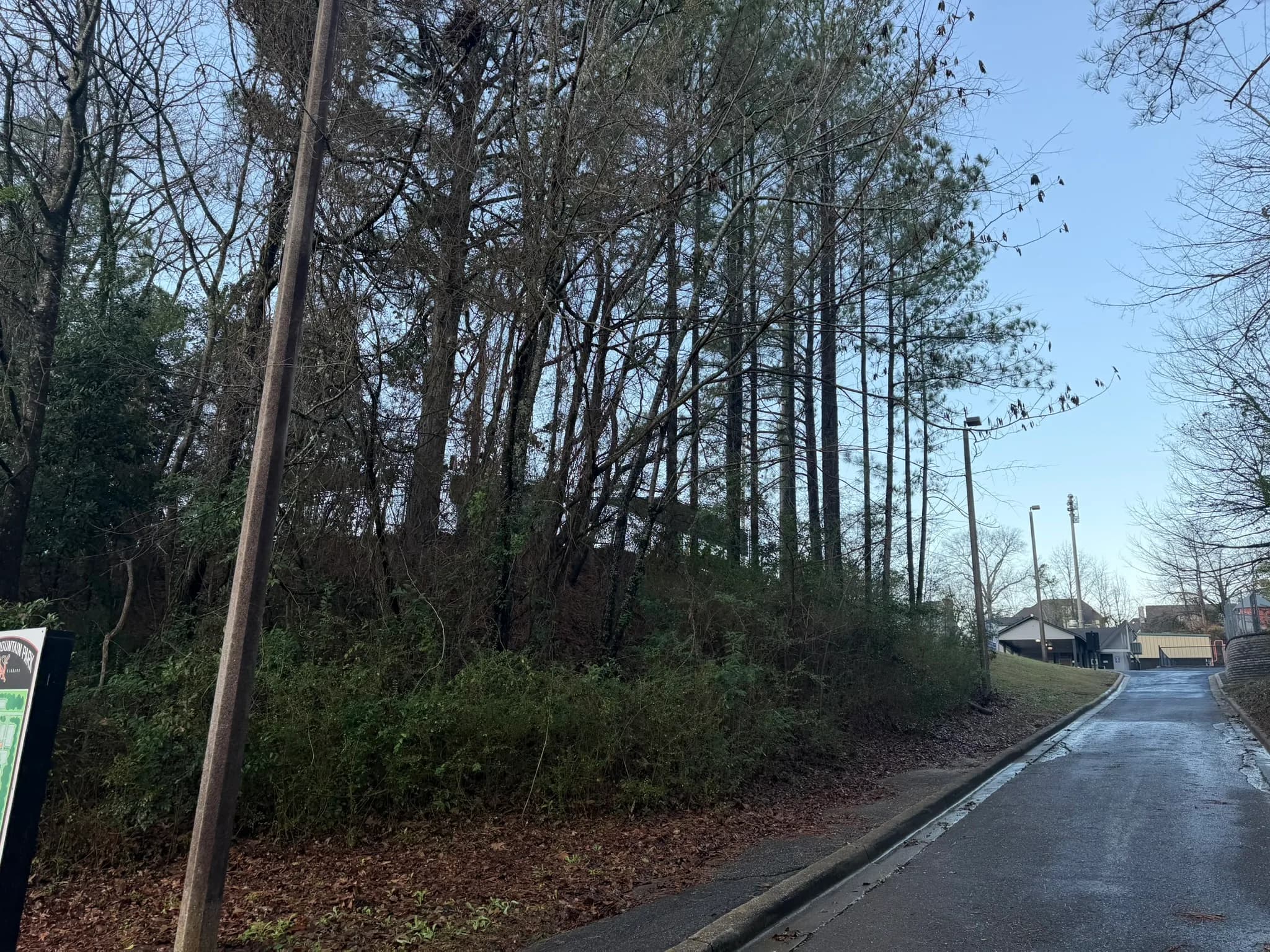Comprehensive Land Clearing and Site Preparation — photo 14