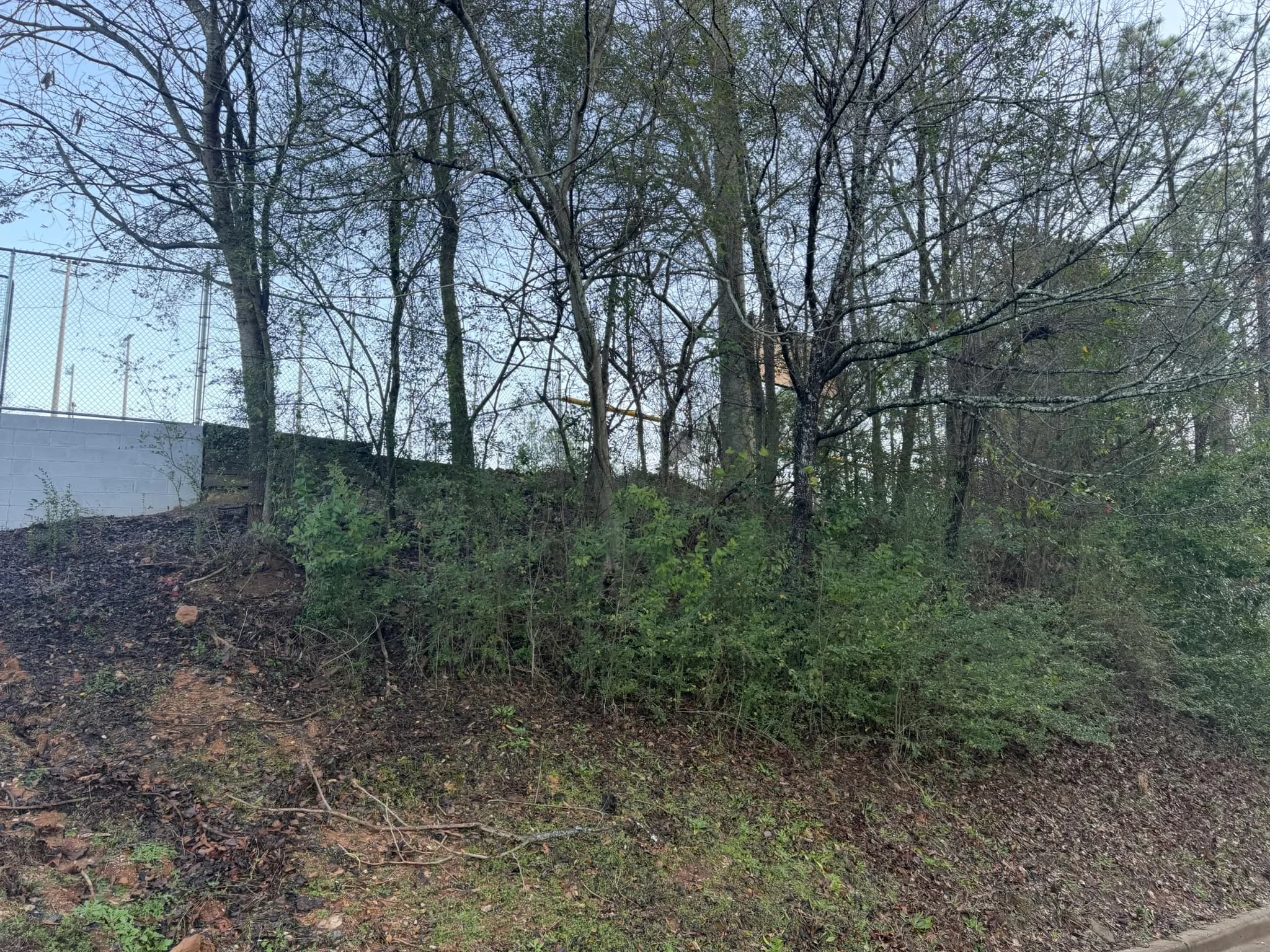 Comprehensive Land Clearing and Site Preparation — photo 11