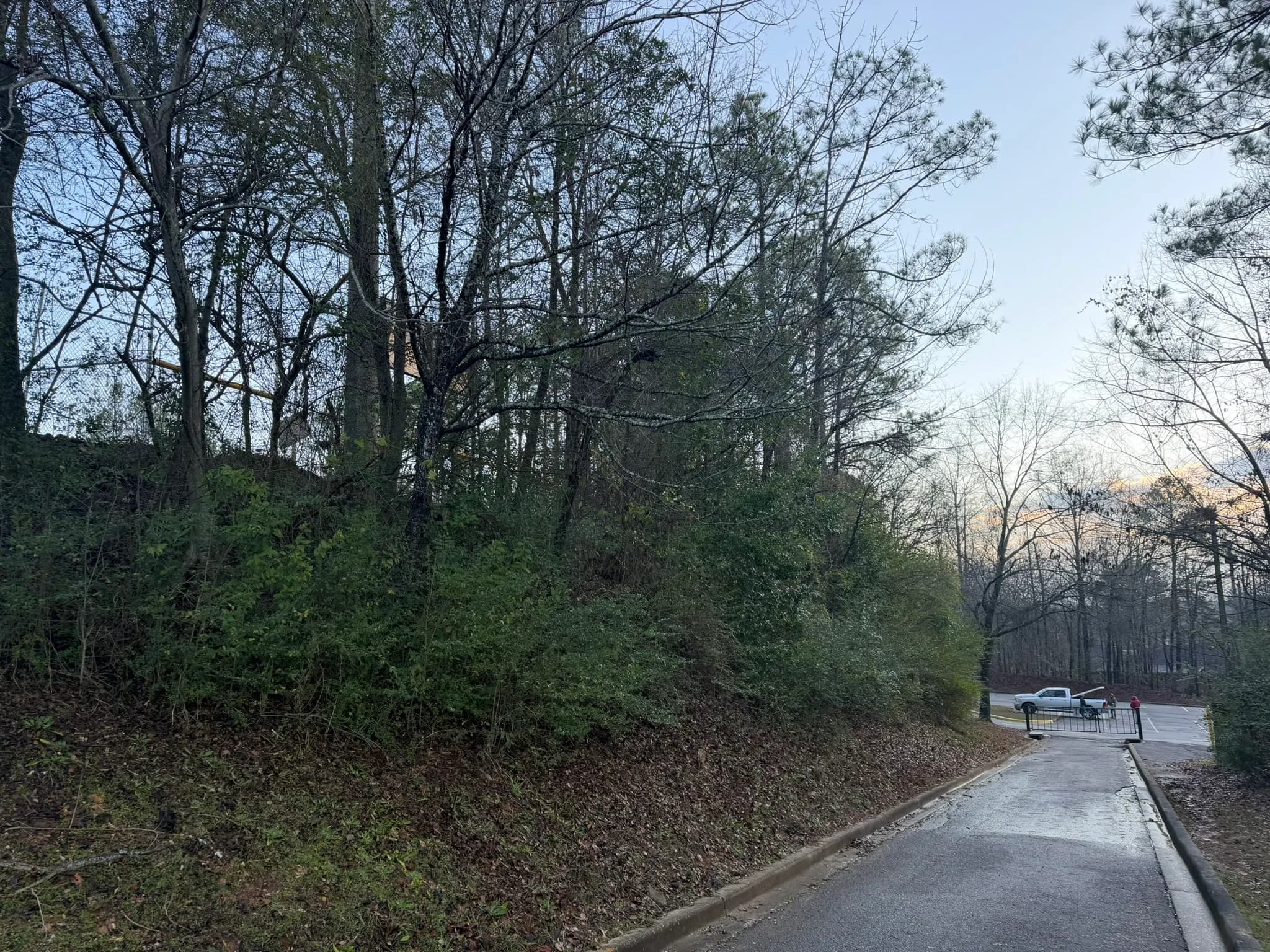 Comprehensive Land Clearing and Site Preparation — photo 30