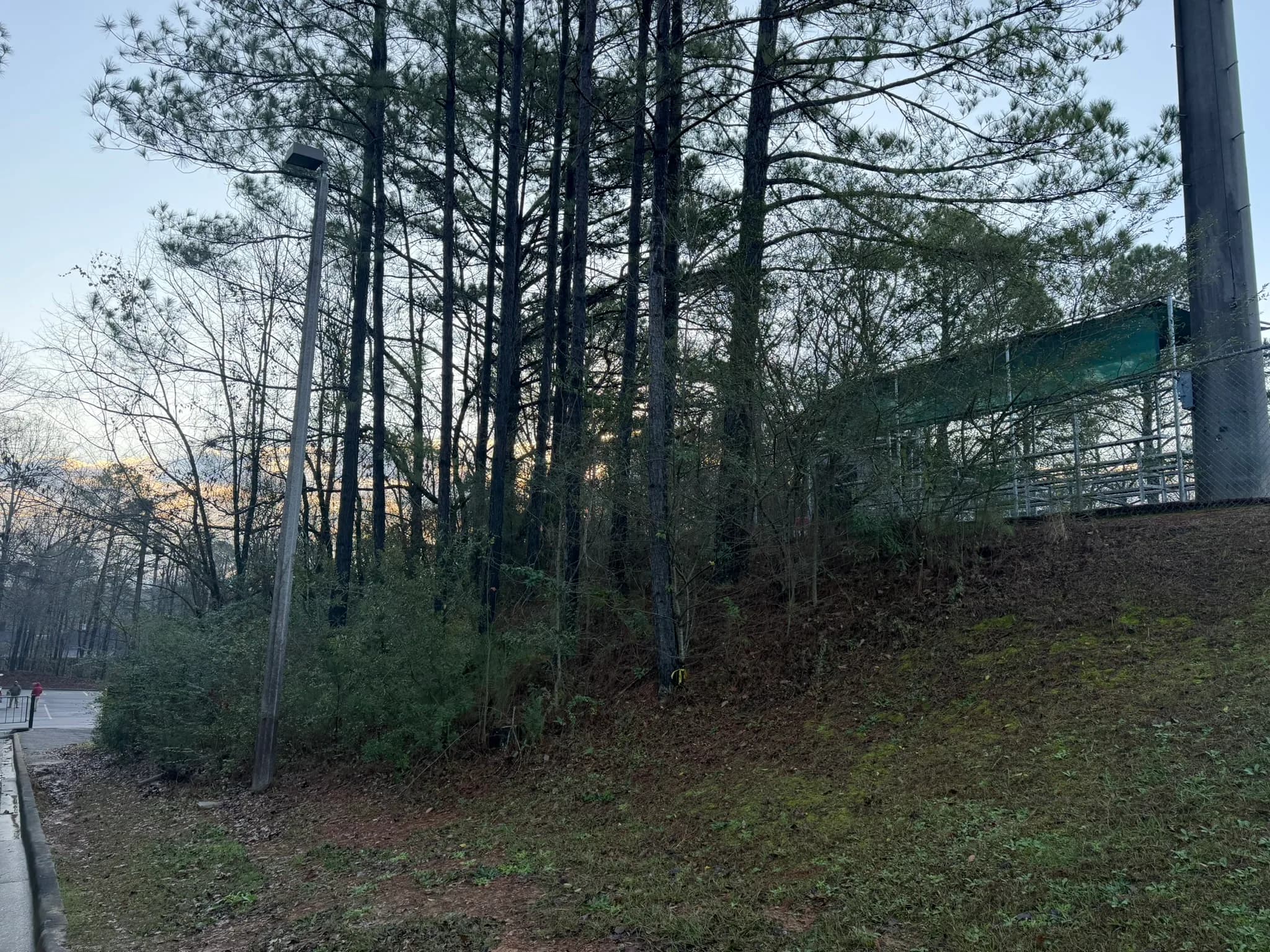 Comprehensive Land Clearing and Site Preparation — photo 19
