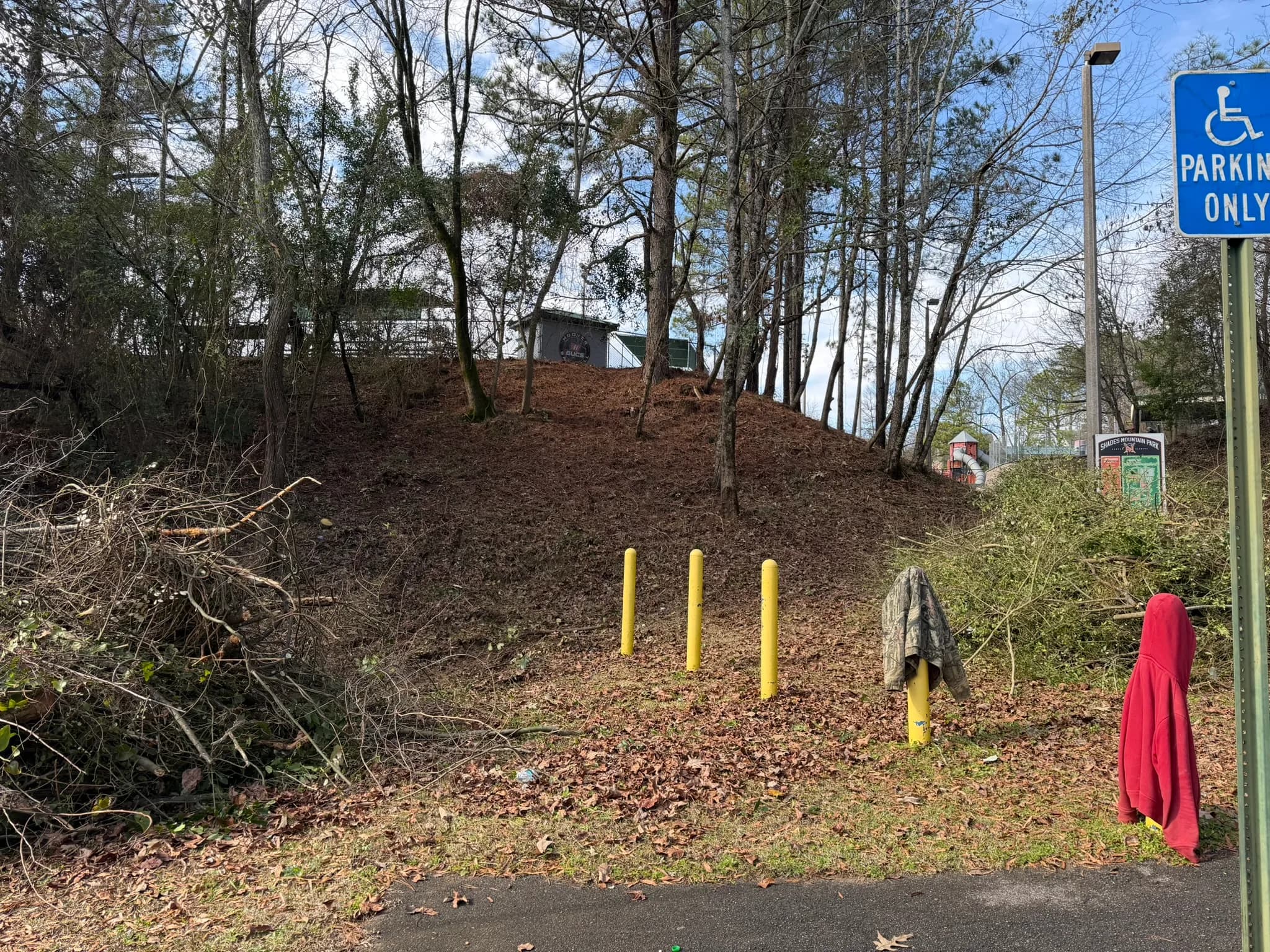 Comprehensive Land Clearing and Site Preparation — photo 48
