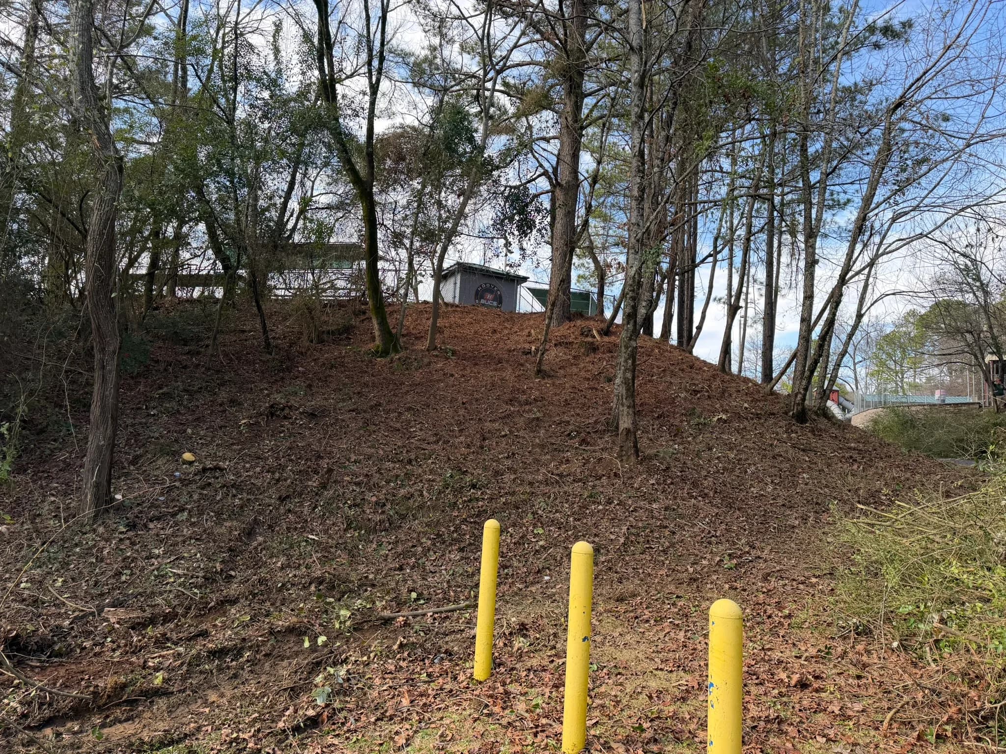 Comprehensive Land Clearing and Site Preparation — photo 39