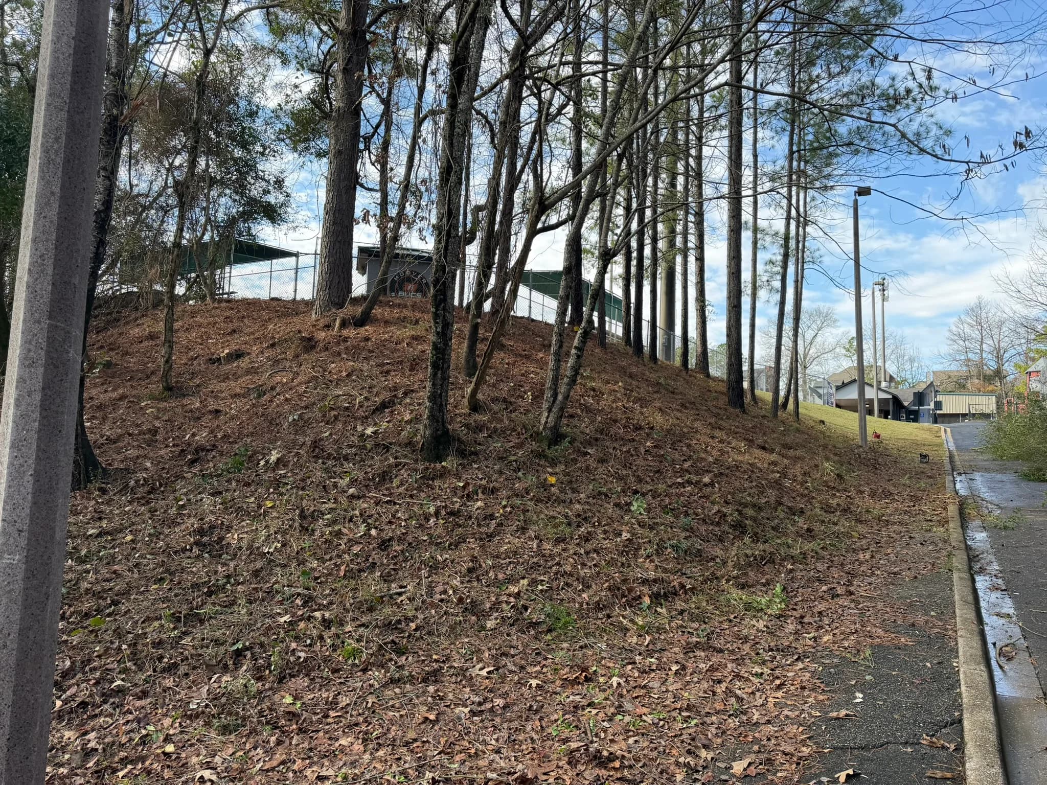 Comprehensive Land Clearing and Site Preparation — photo 52