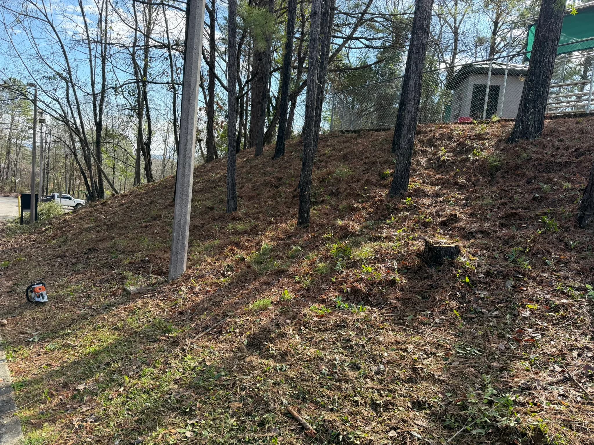 Comprehensive Land Clearing and Site Preparation — photo 33