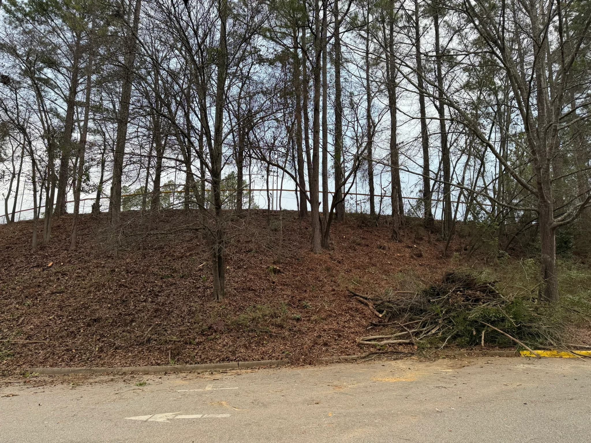 Comprehensive Land Clearing and Site Preparation — photo 8