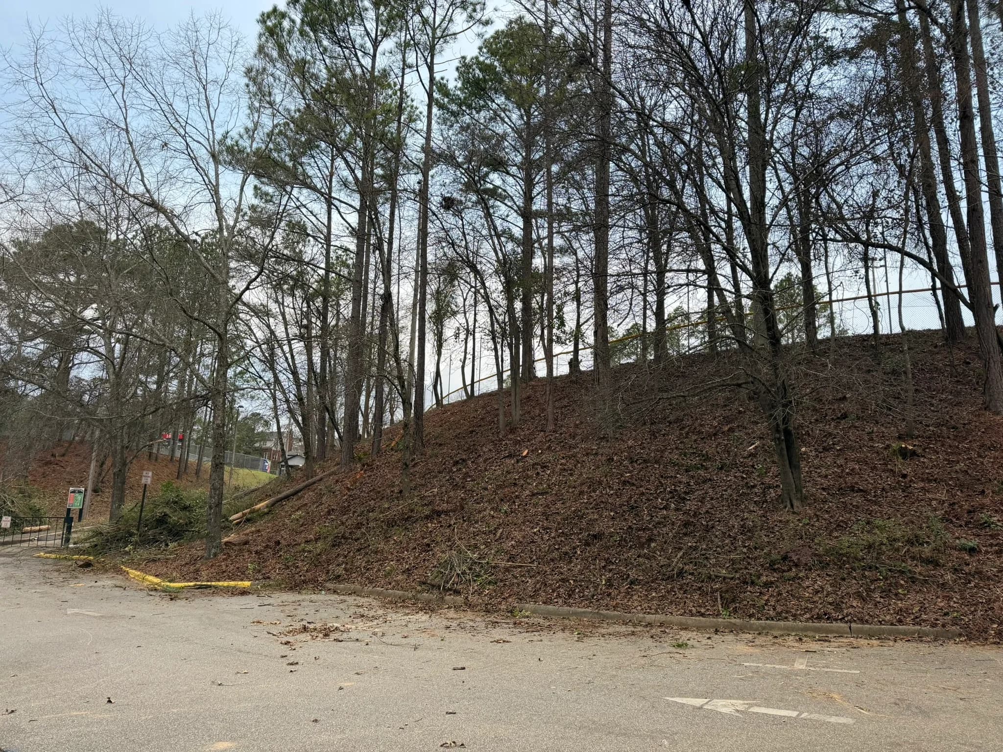 Comprehensive Land Clearing and Site Preparation — photo 35