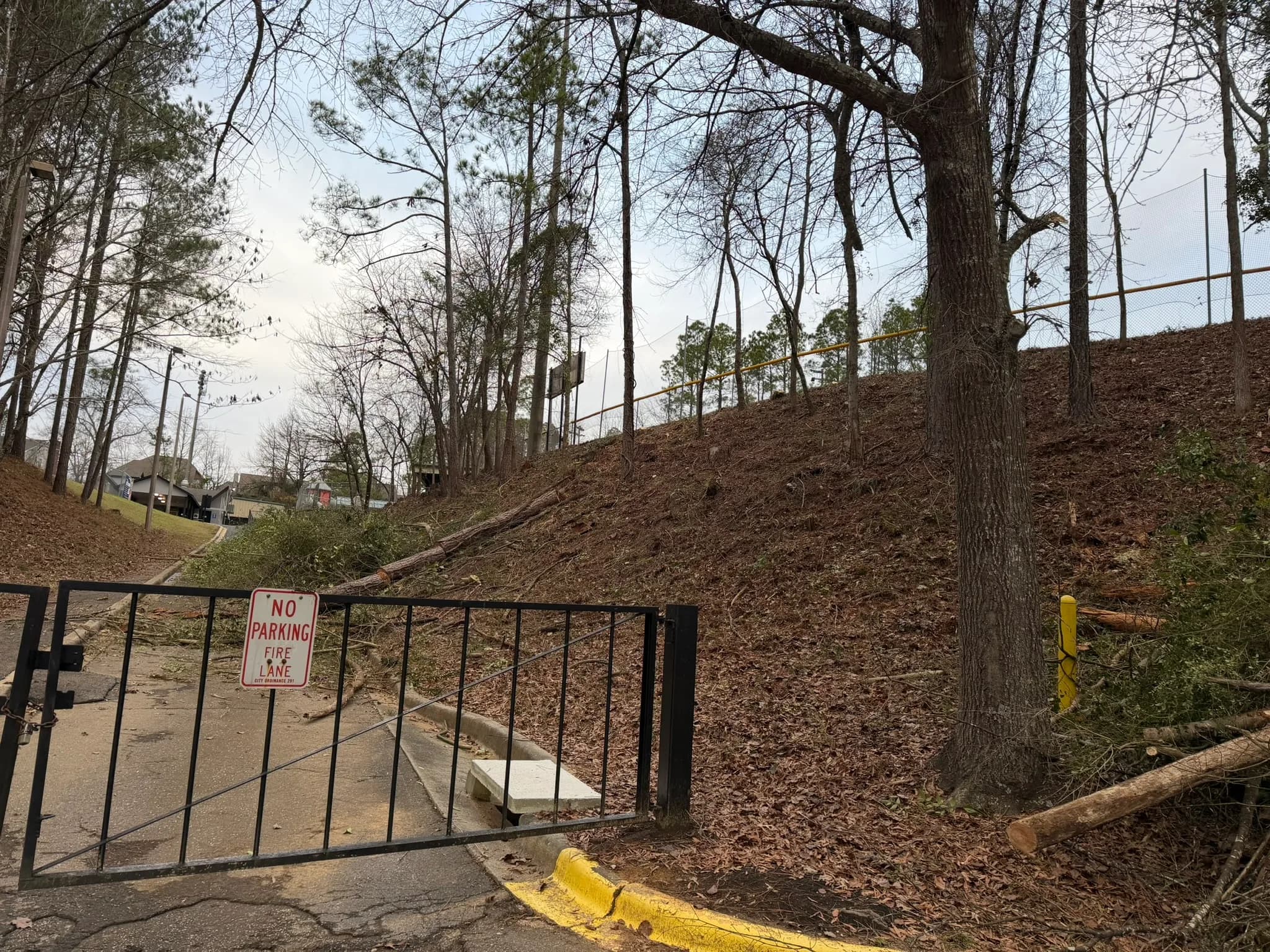 Comprehensive Land Clearing and Site Preparation — photo 16