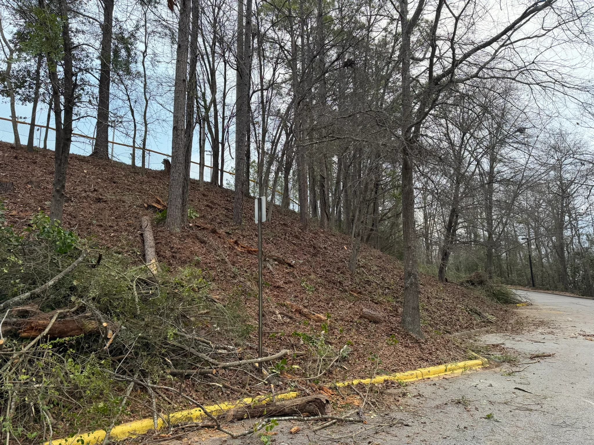 Comprehensive Land Clearing and Site Preparation — photo 10