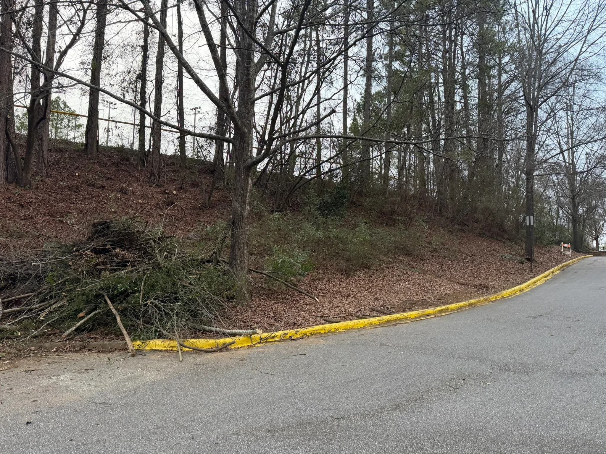 Comprehensive Land Clearing and Site Preparation — photo 22