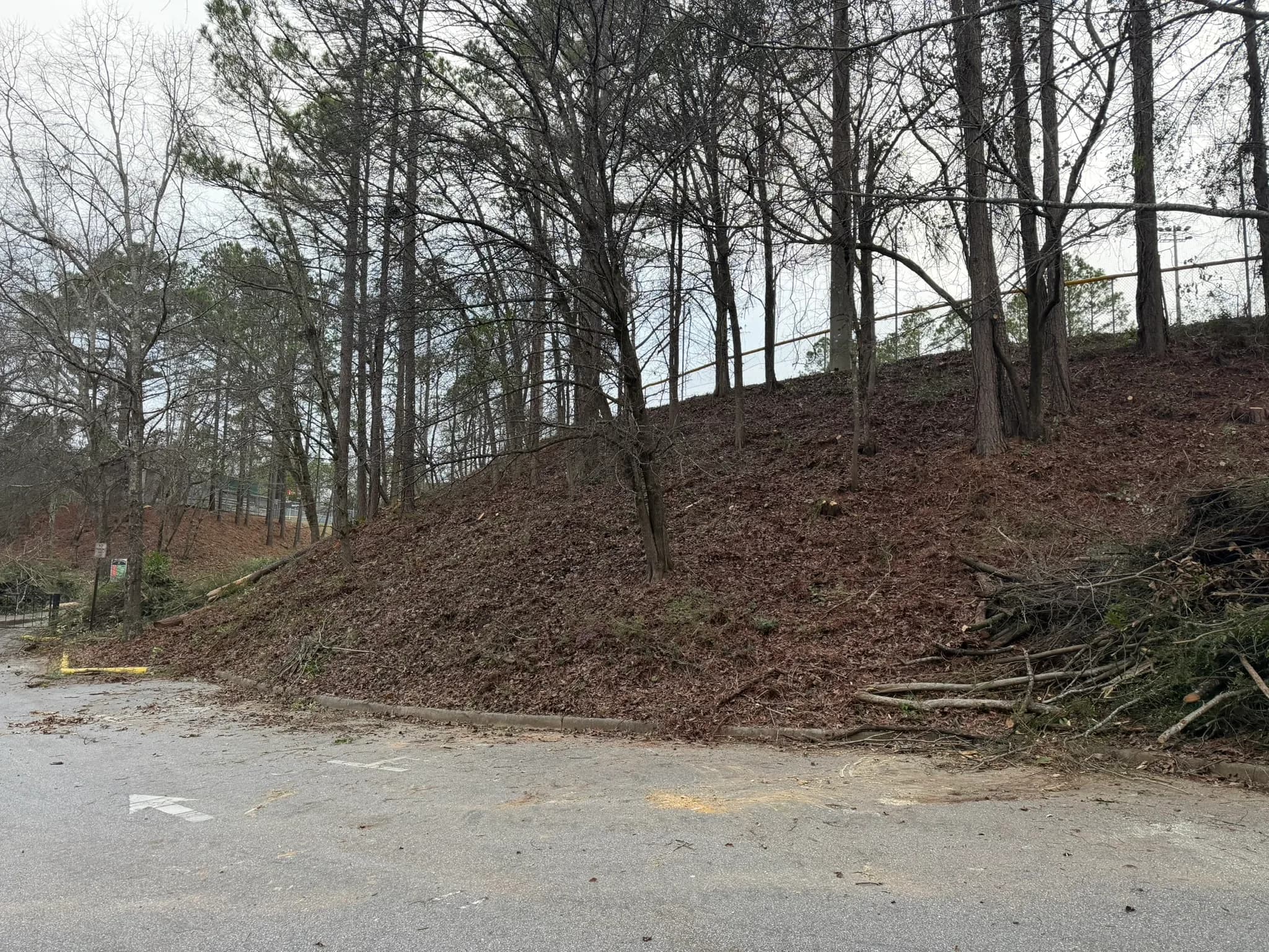 Comprehensive Land Clearing and Site Preparation — photo 43