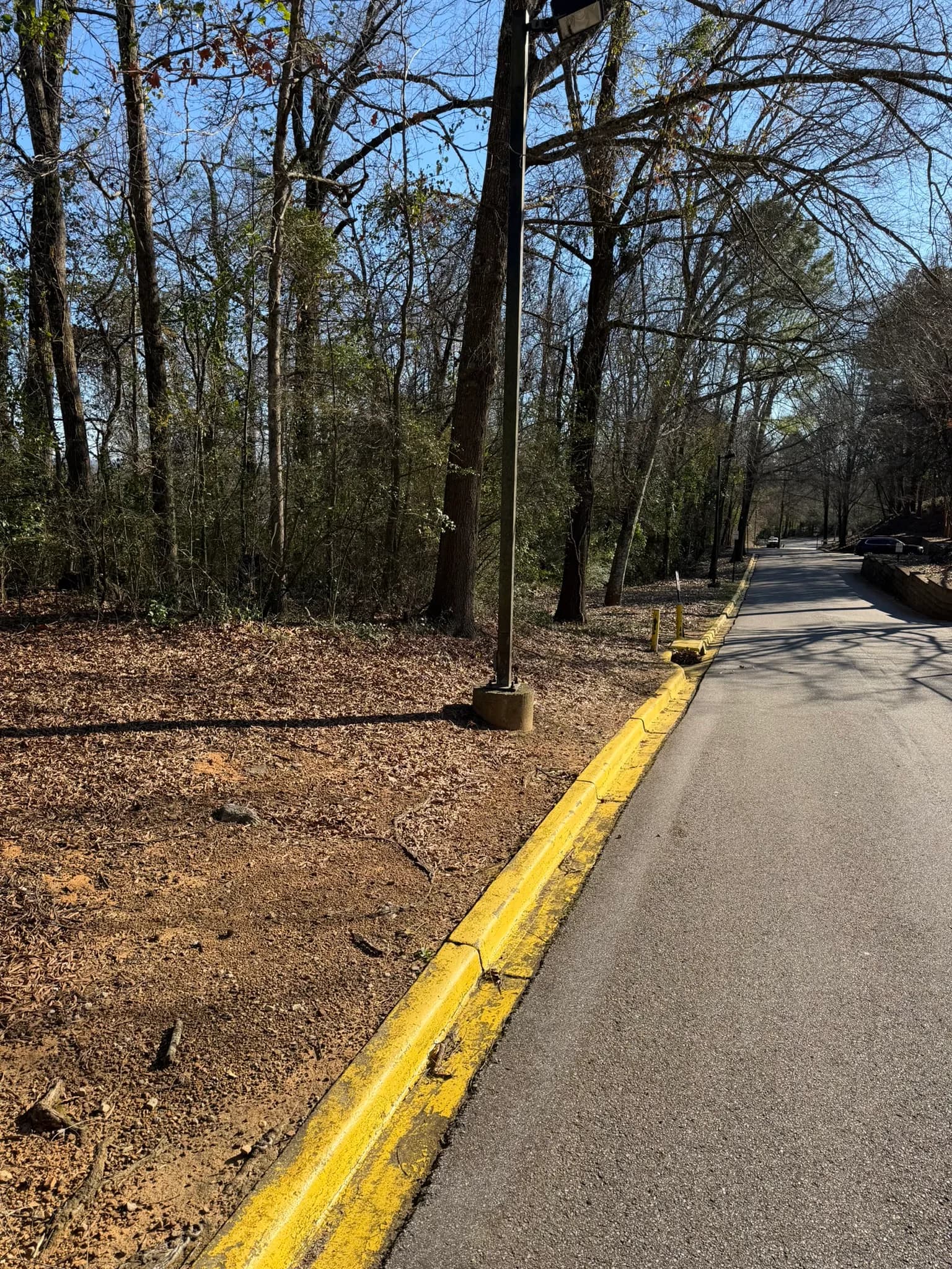 Comprehensive Land Clearing and Site Preparation — photo 7