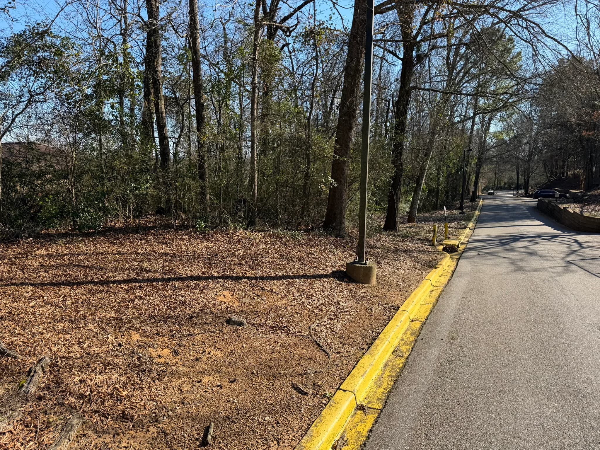 Comprehensive Land Clearing and Site Preparation — photo 2