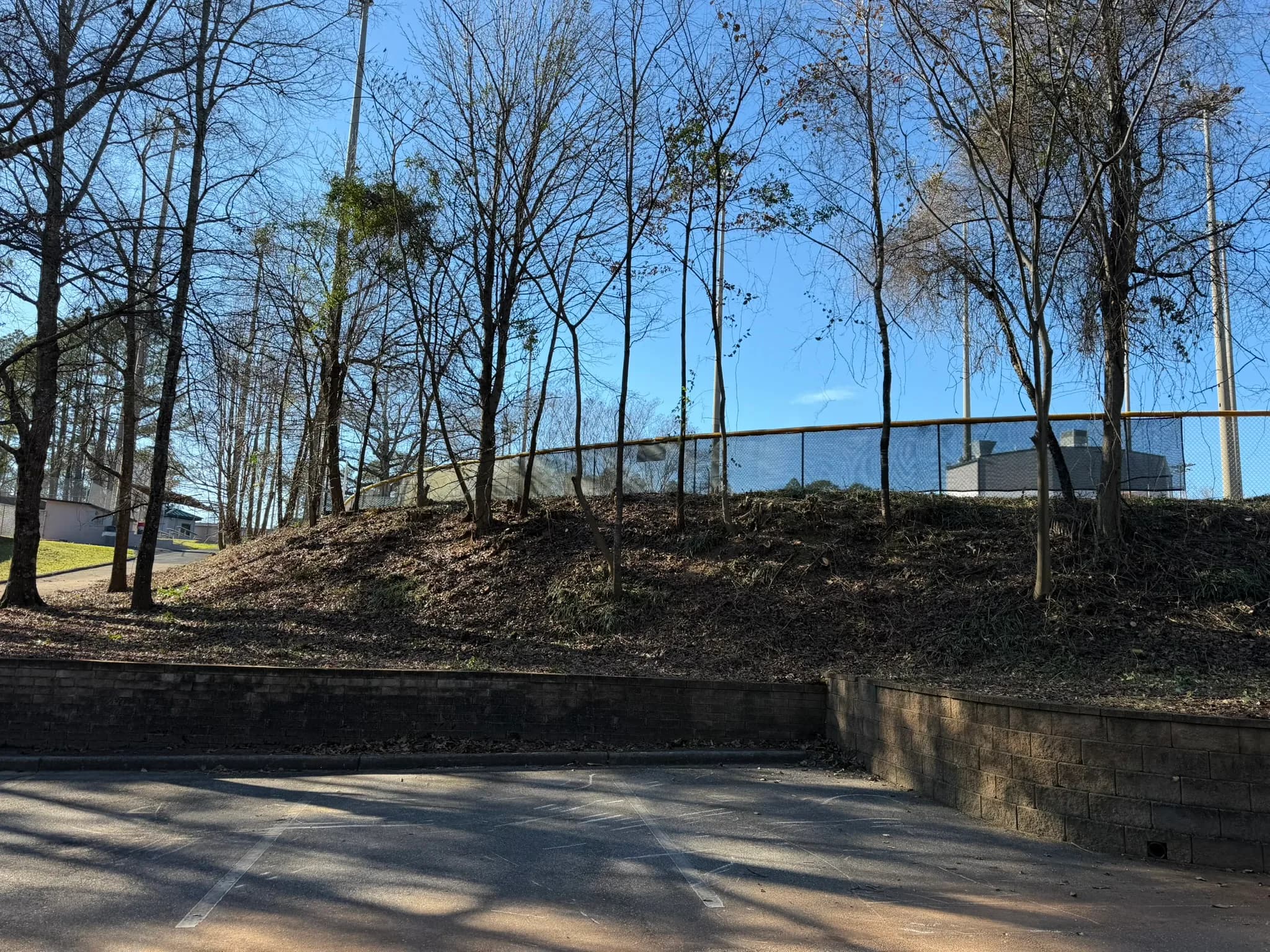 Comprehensive Land Clearing and Site Preparation — photo 27
