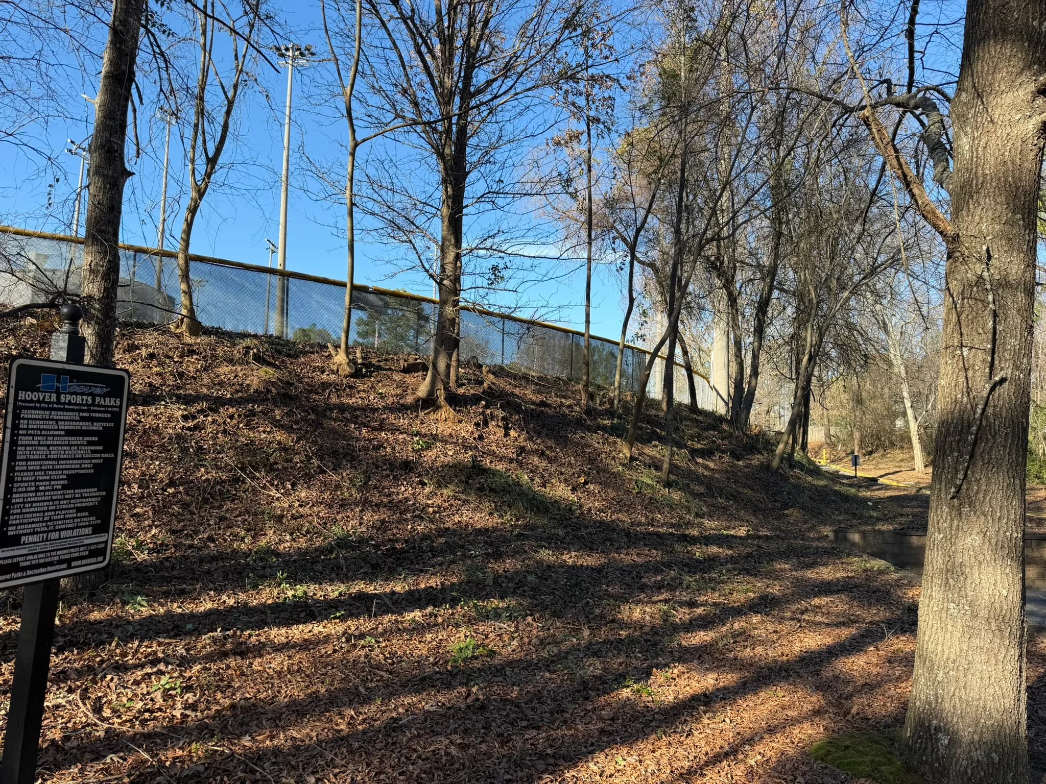 Comprehensive Land Clearing and Site Preparation — photo 49