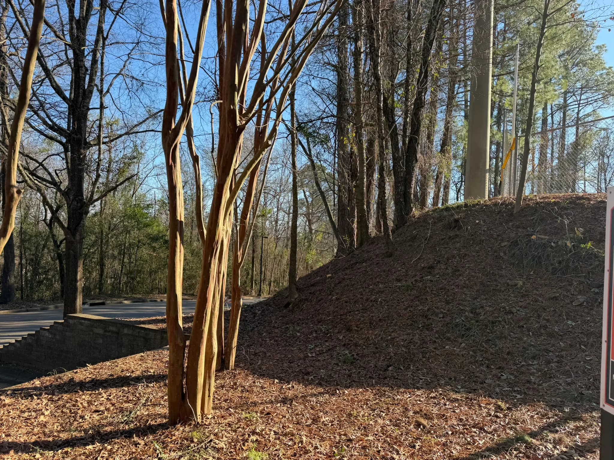 Comprehensive Land Clearing and Site Preparation — photo 31