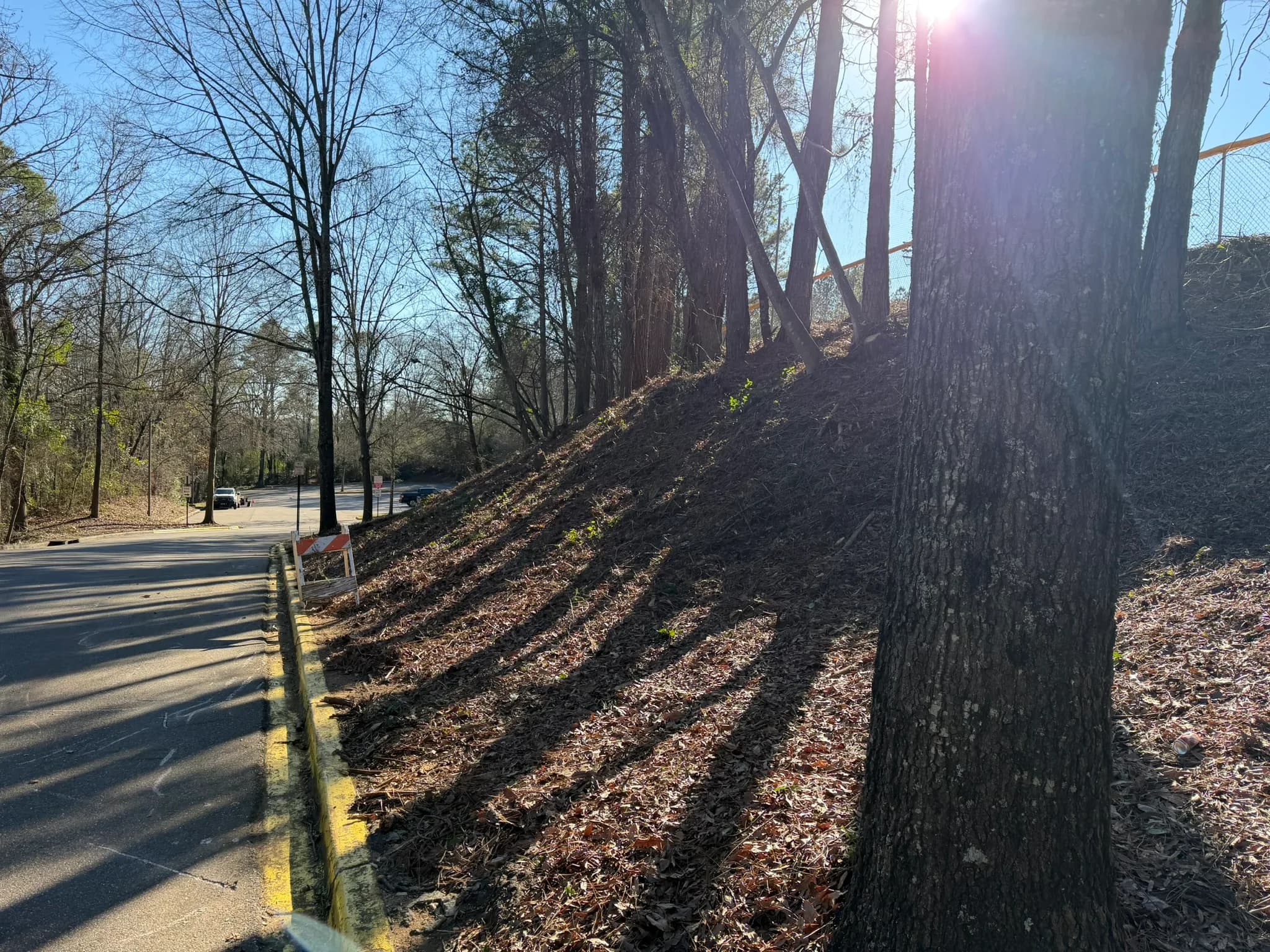 Comprehensive Land Clearing and Site Preparation — photo 42