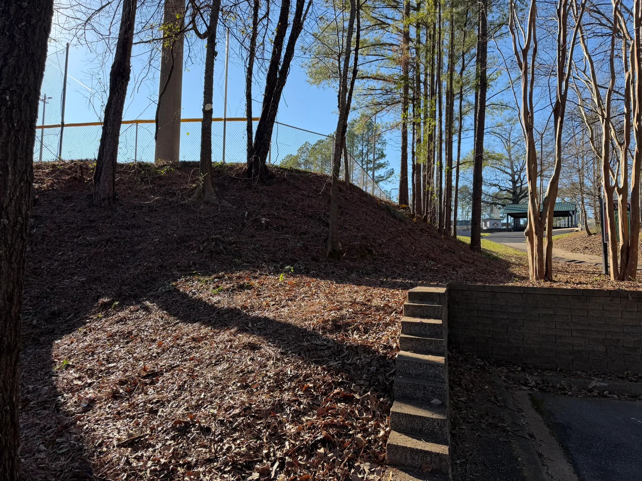 Comprehensive Land Clearing and Site Preparation — photo 9