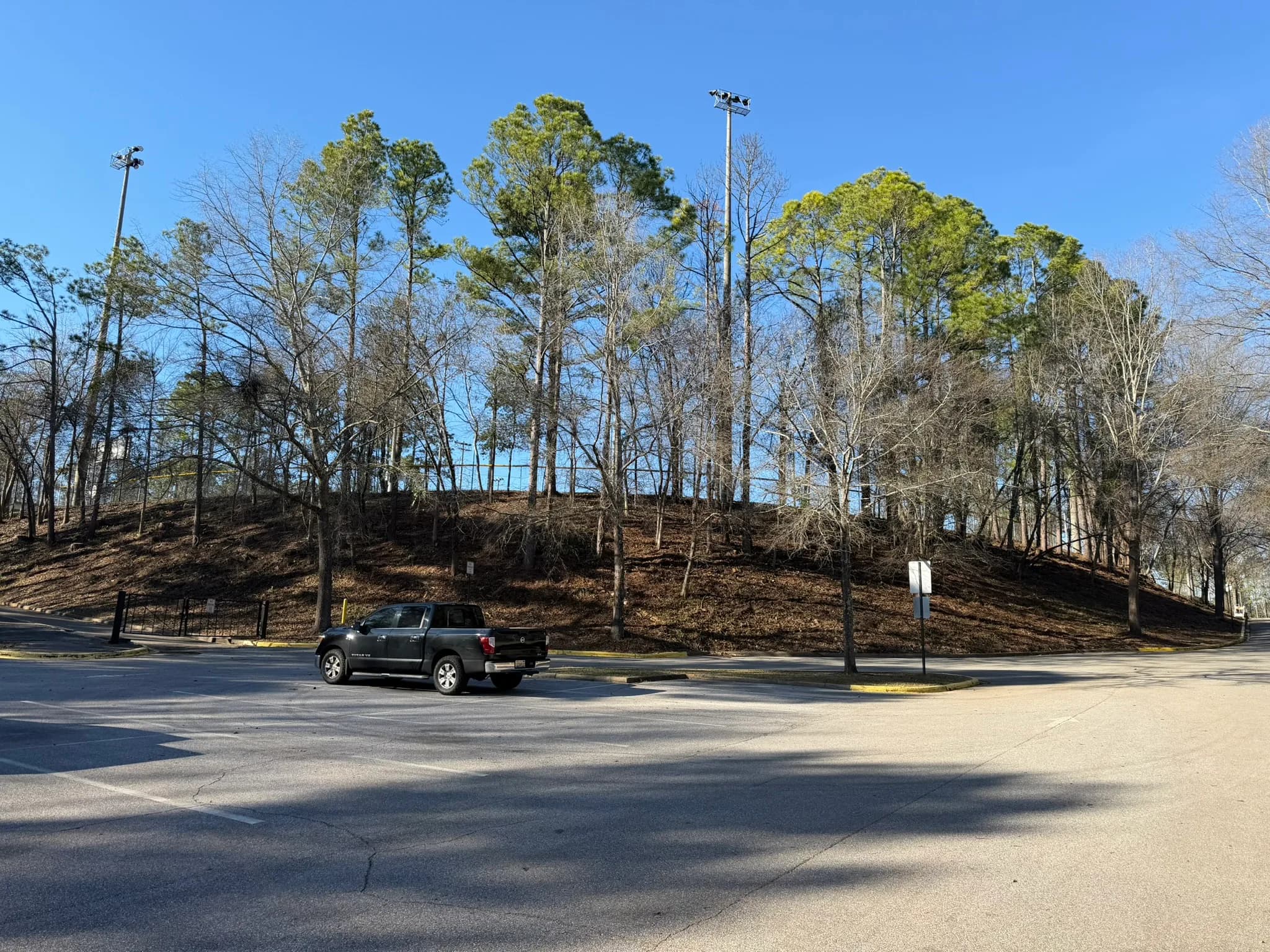 Comprehensive Land Clearing and Site Preparation — photo 12