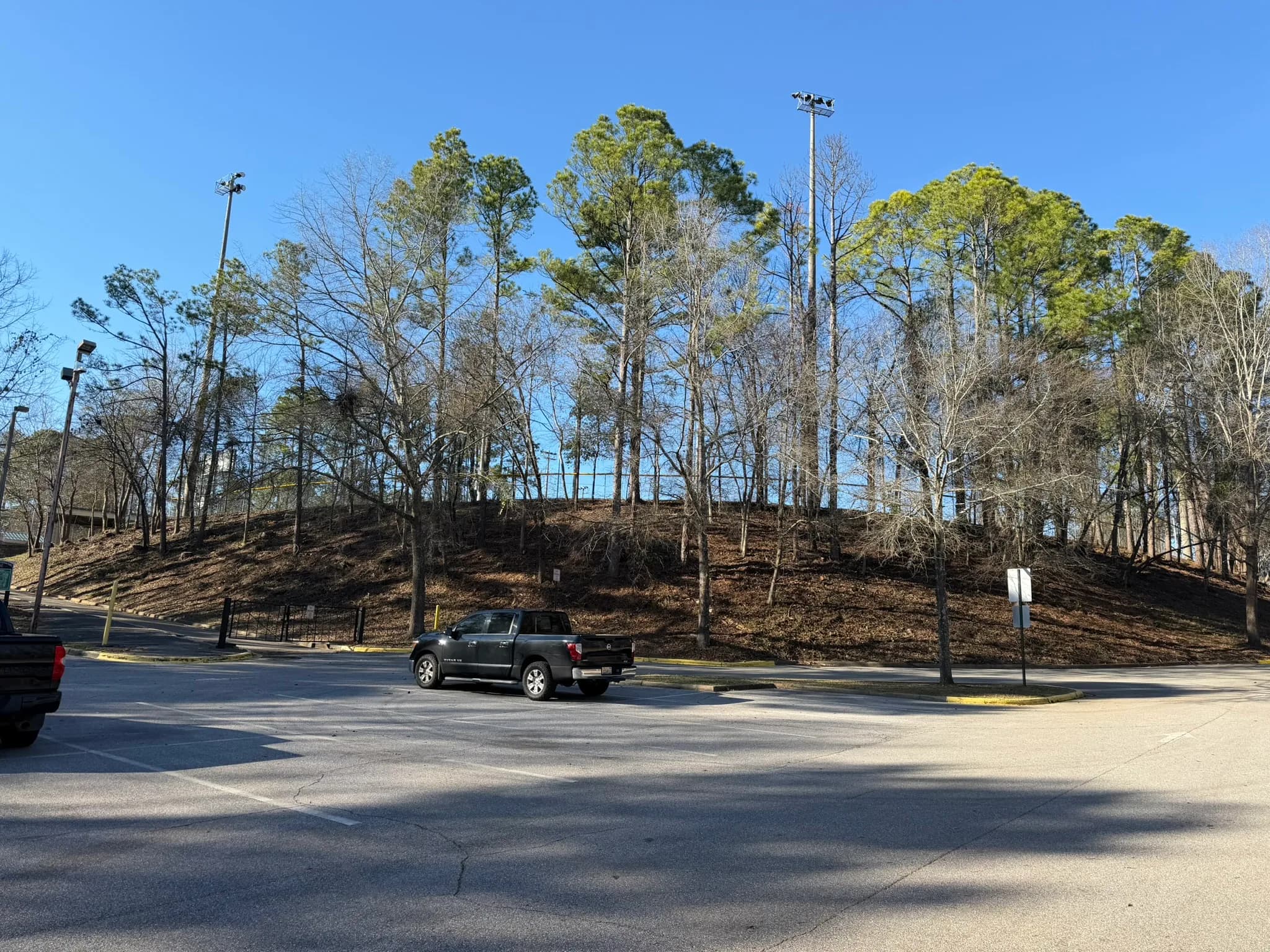 Comprehensive Land Clearing and Site Preparation — photo 18