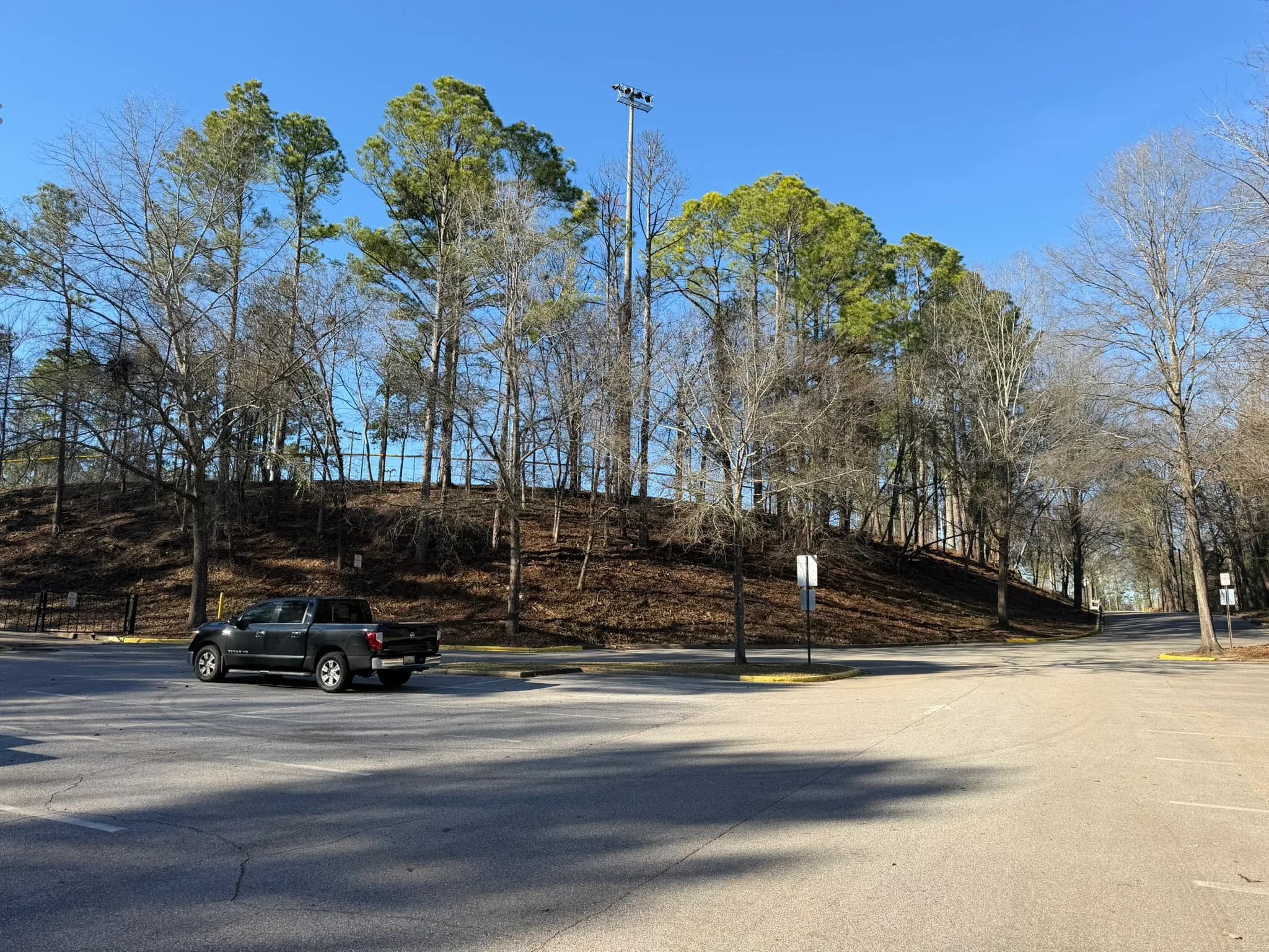 Comprehensive Land Clearing and Site Preparation — photo 47