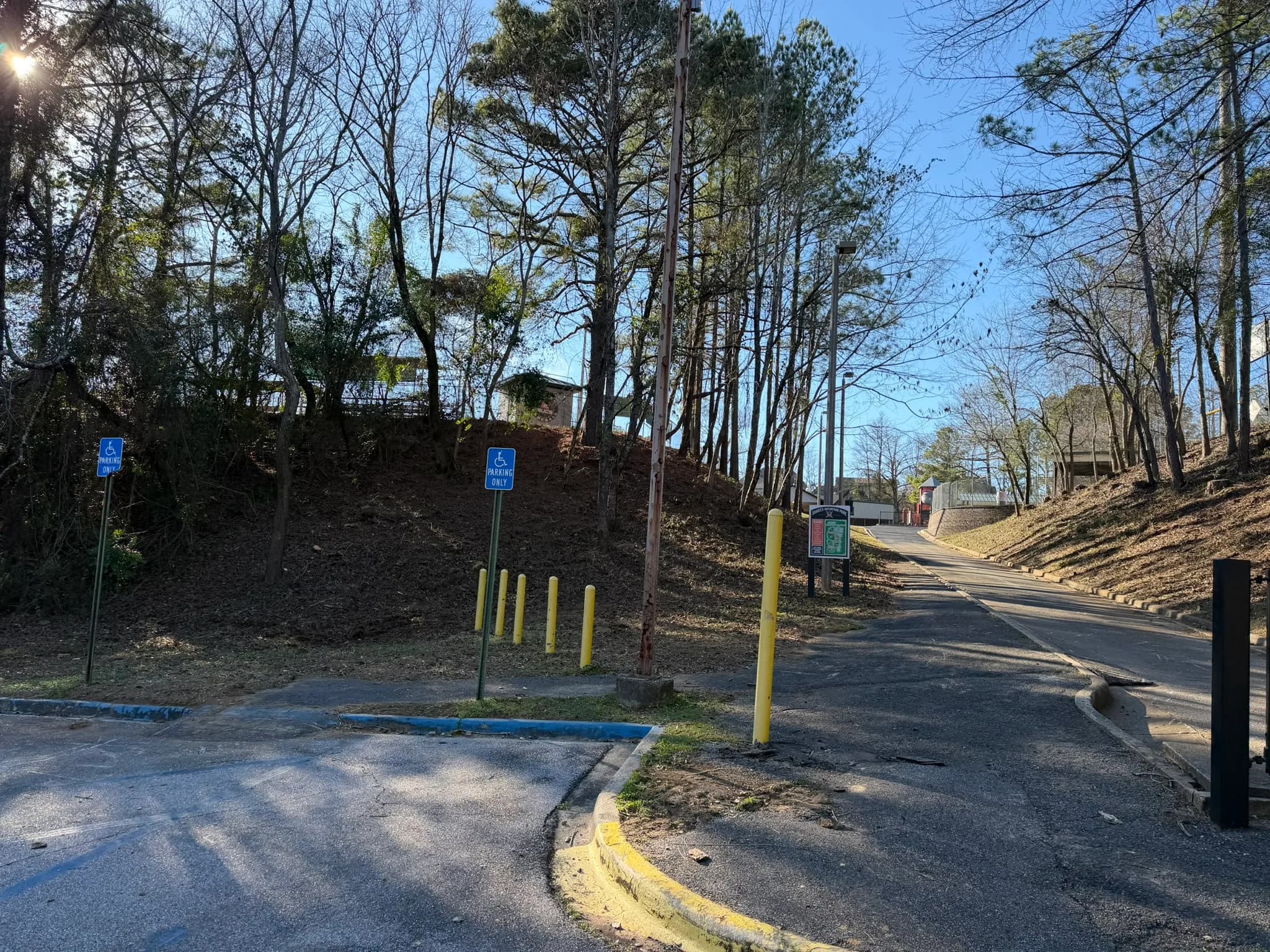 Comprehensive Land Clearing and Site Preparation — photo 50