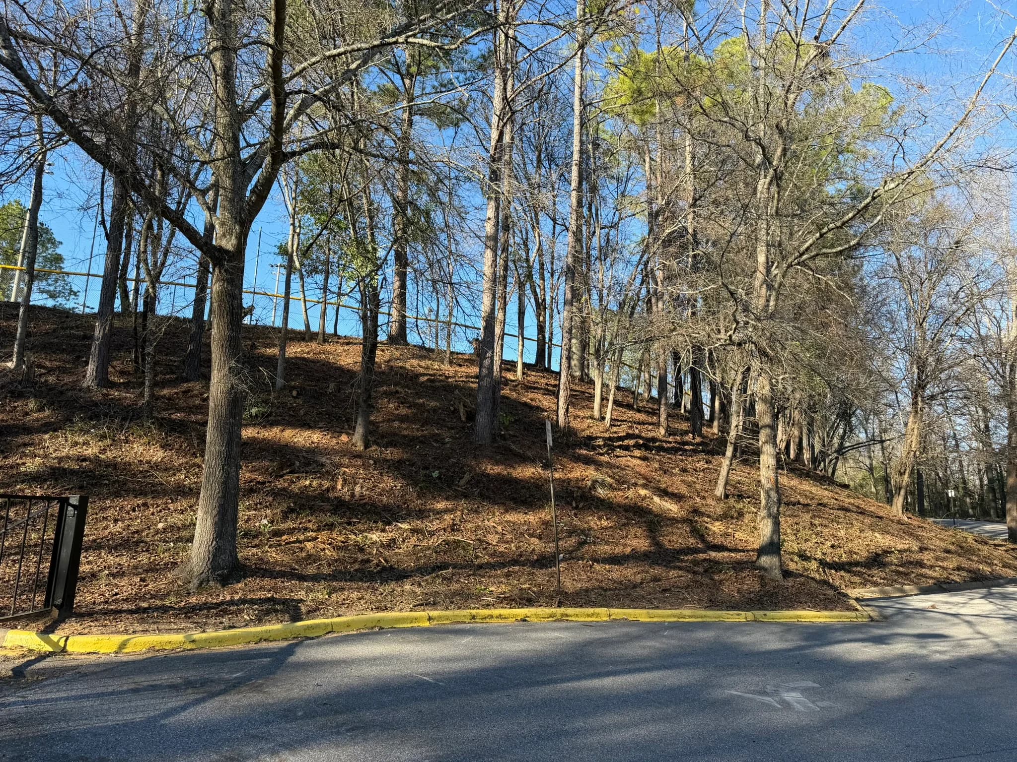 Comprehensive Land Clearing and Site Preparation — photo 40