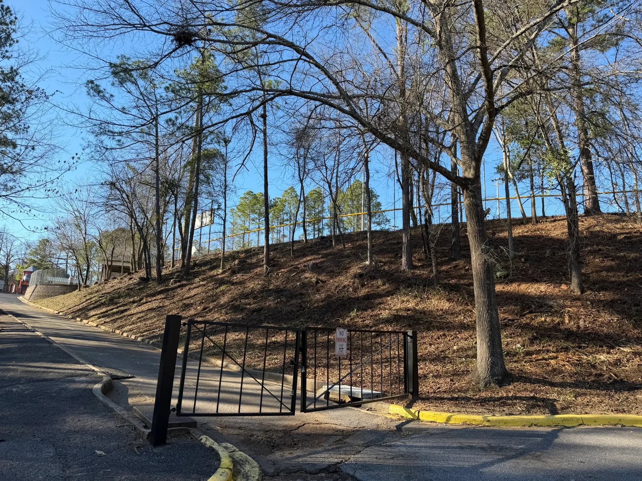 Comprehensive Land Clearing and Site Preparation — photo 51