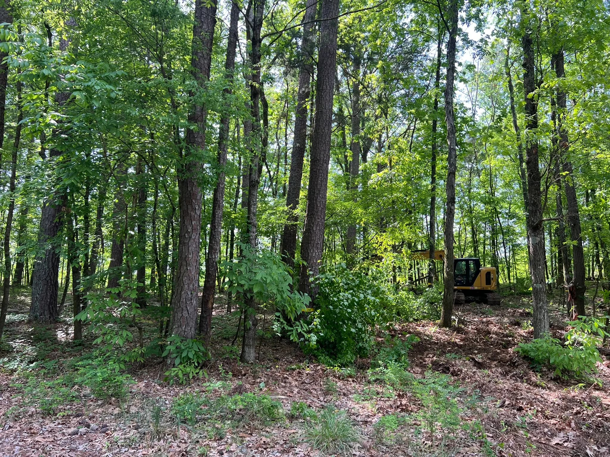 Comprehensive Land Clearing and Site Preparation — photo 41