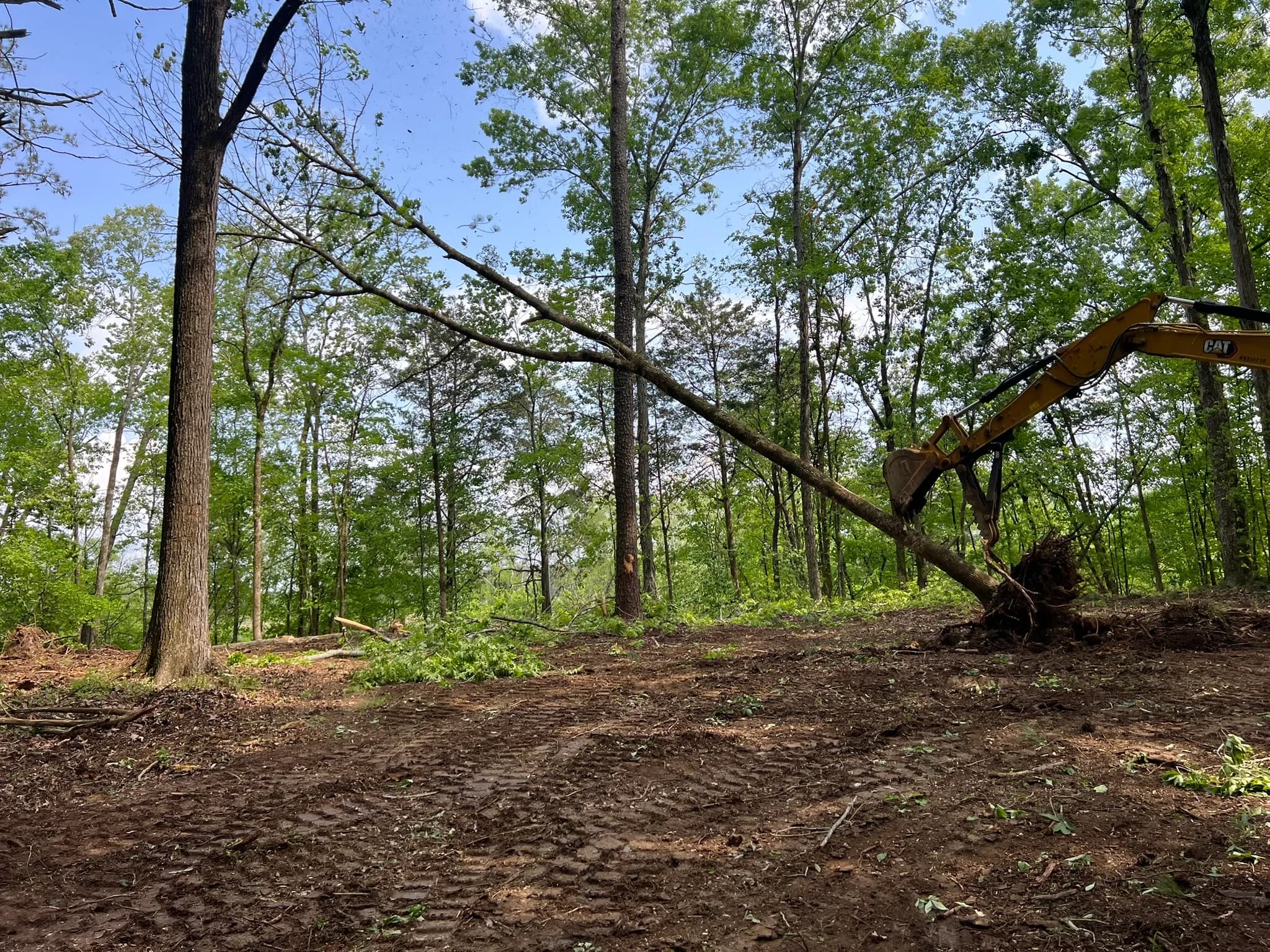 Comprehensive Land Clearing and Site Preparation — photo 38