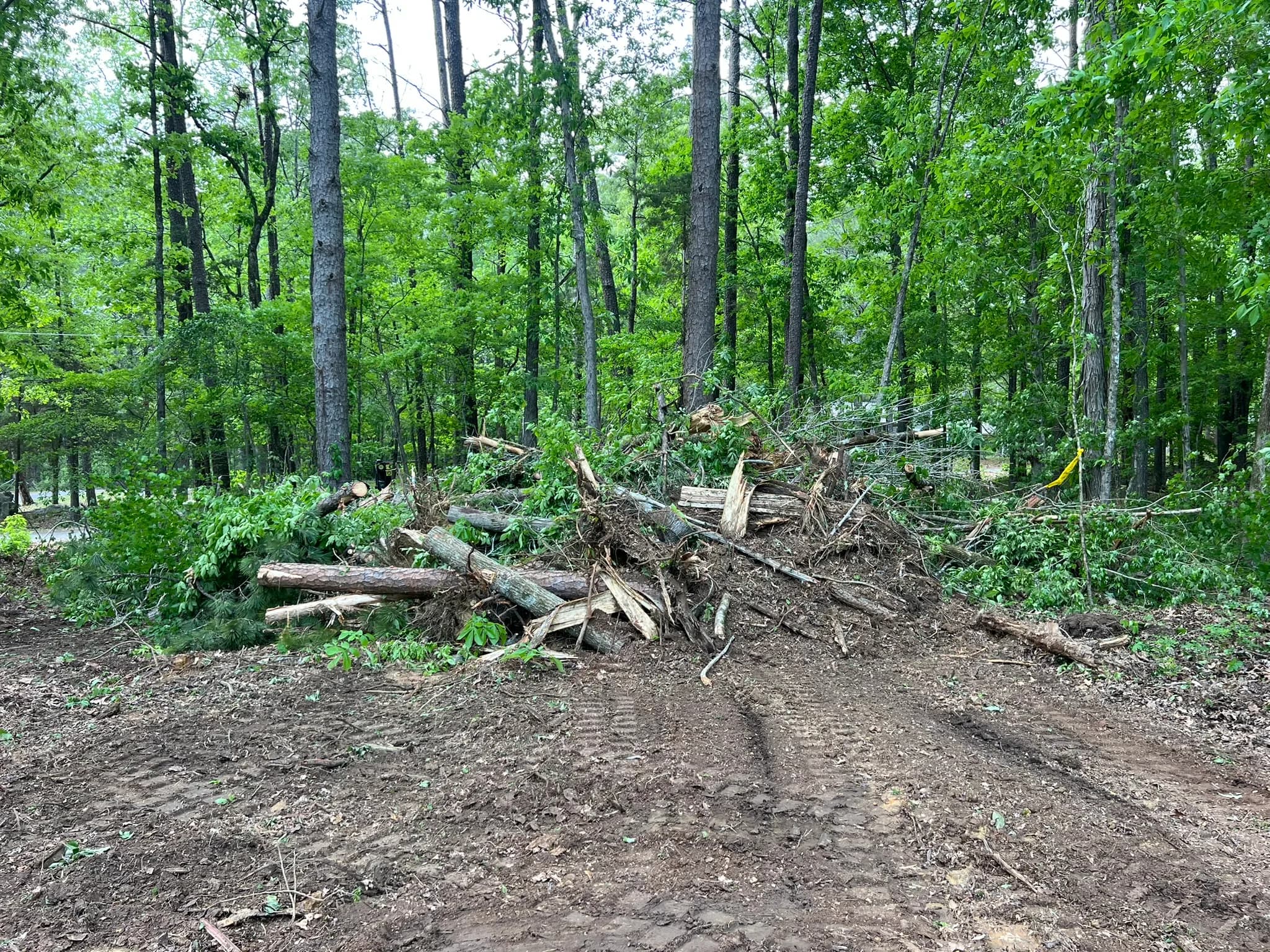 Comprehensive Land Clearing and Site Preparation — photo 22