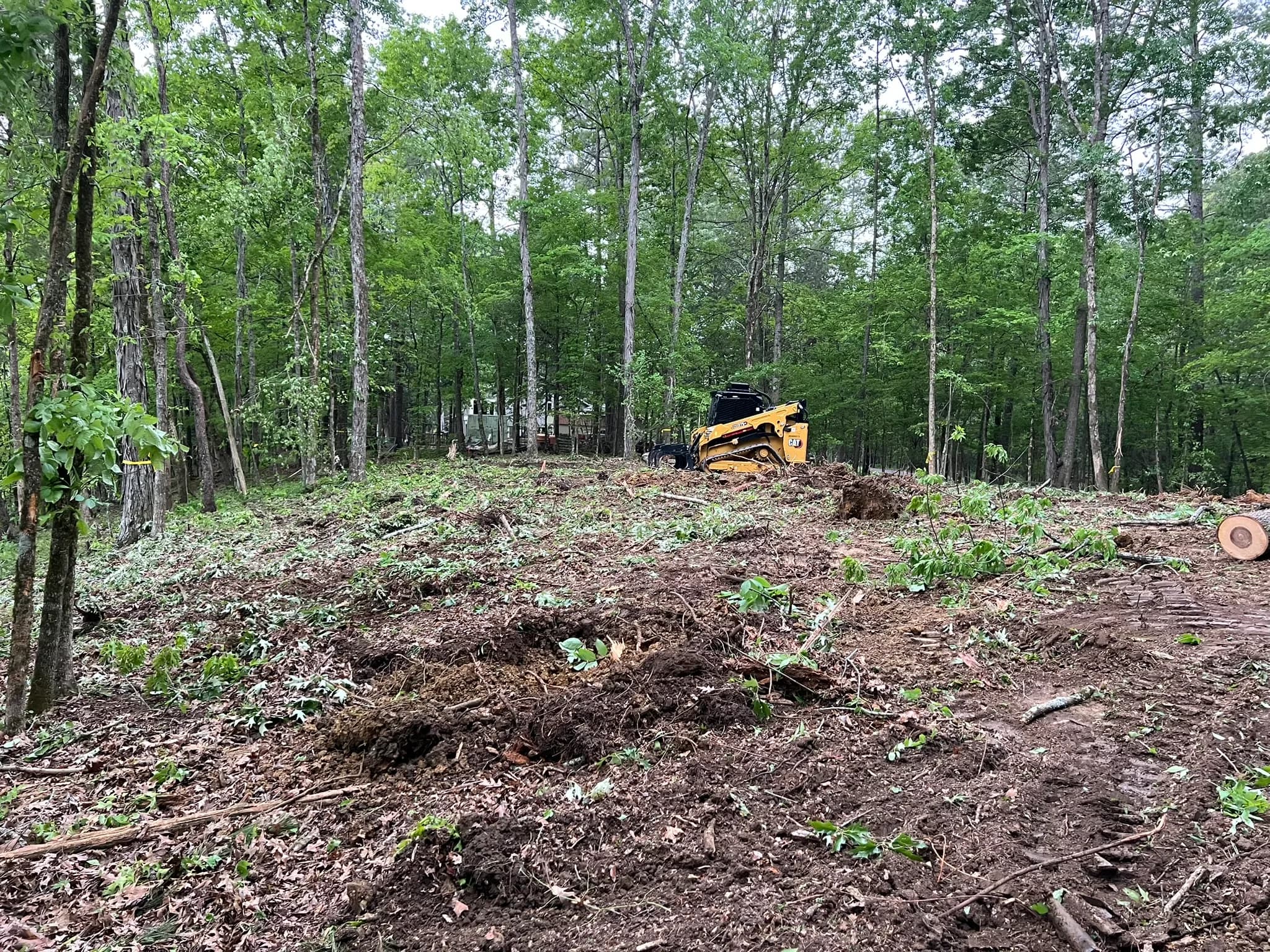 Comprehensive Land Clearing and Site Preparation — photo 33