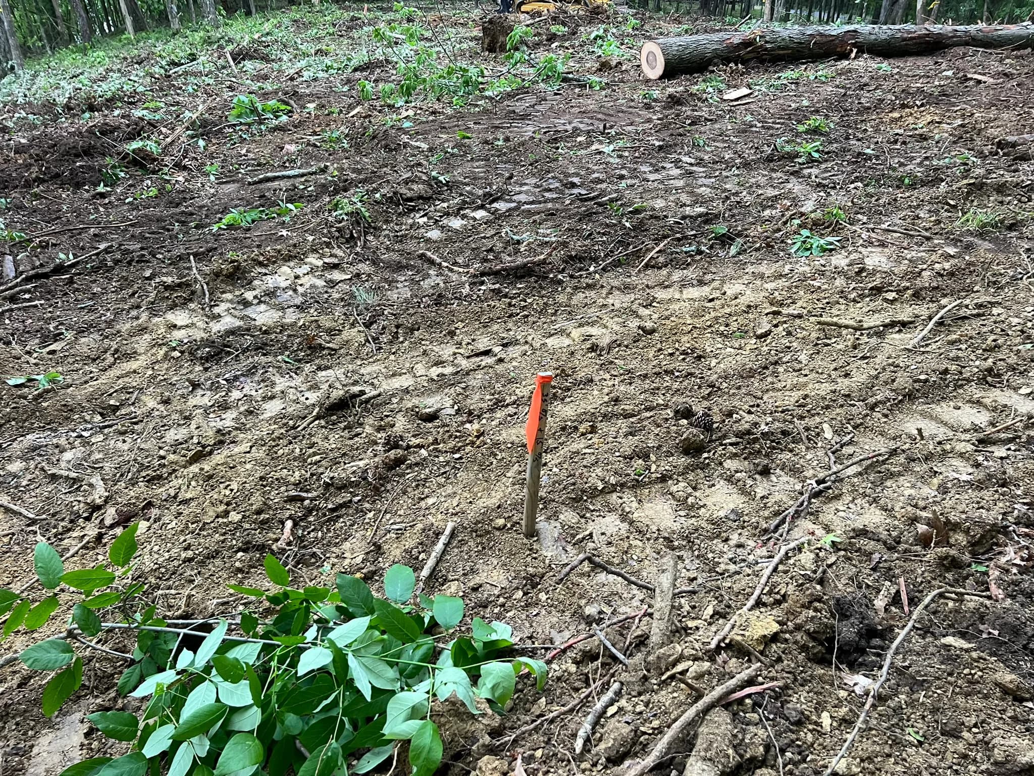 Comprehensive Land Clearing and Site Preparation — photo 42
