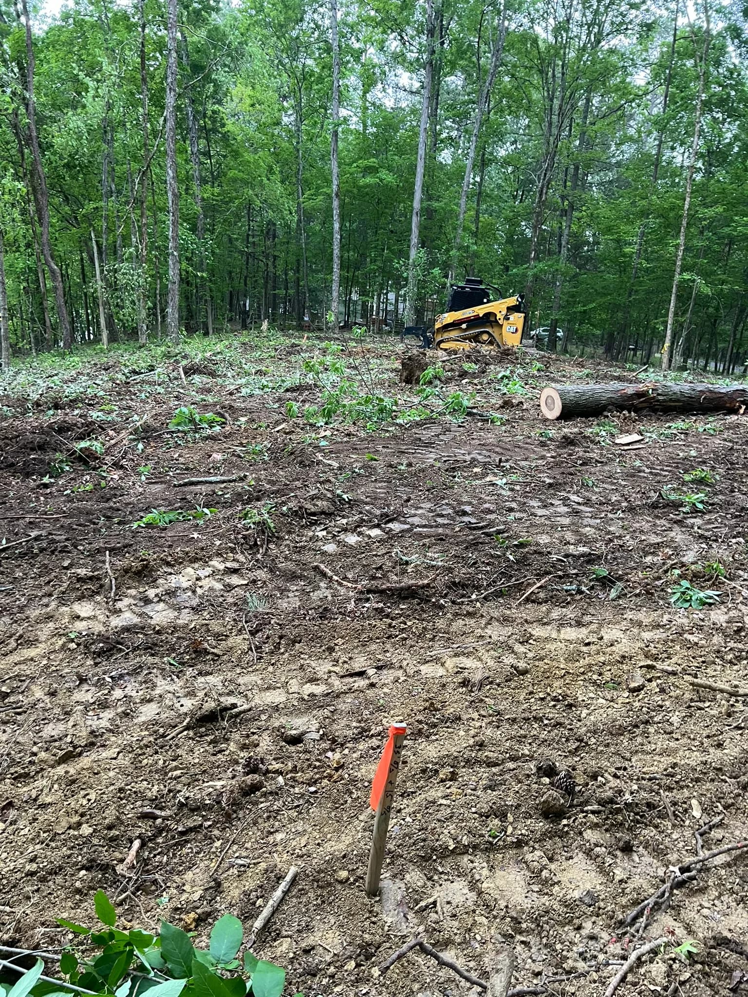 Comprehensive Land Clearing and Site Preparation — photo 52