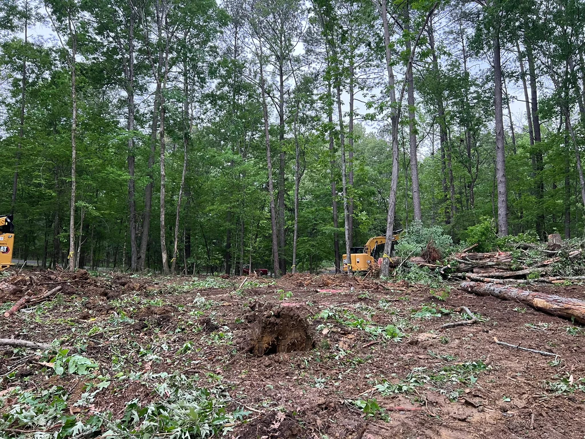 Comprehensive Land Clearing and Site Preparation — photo 4