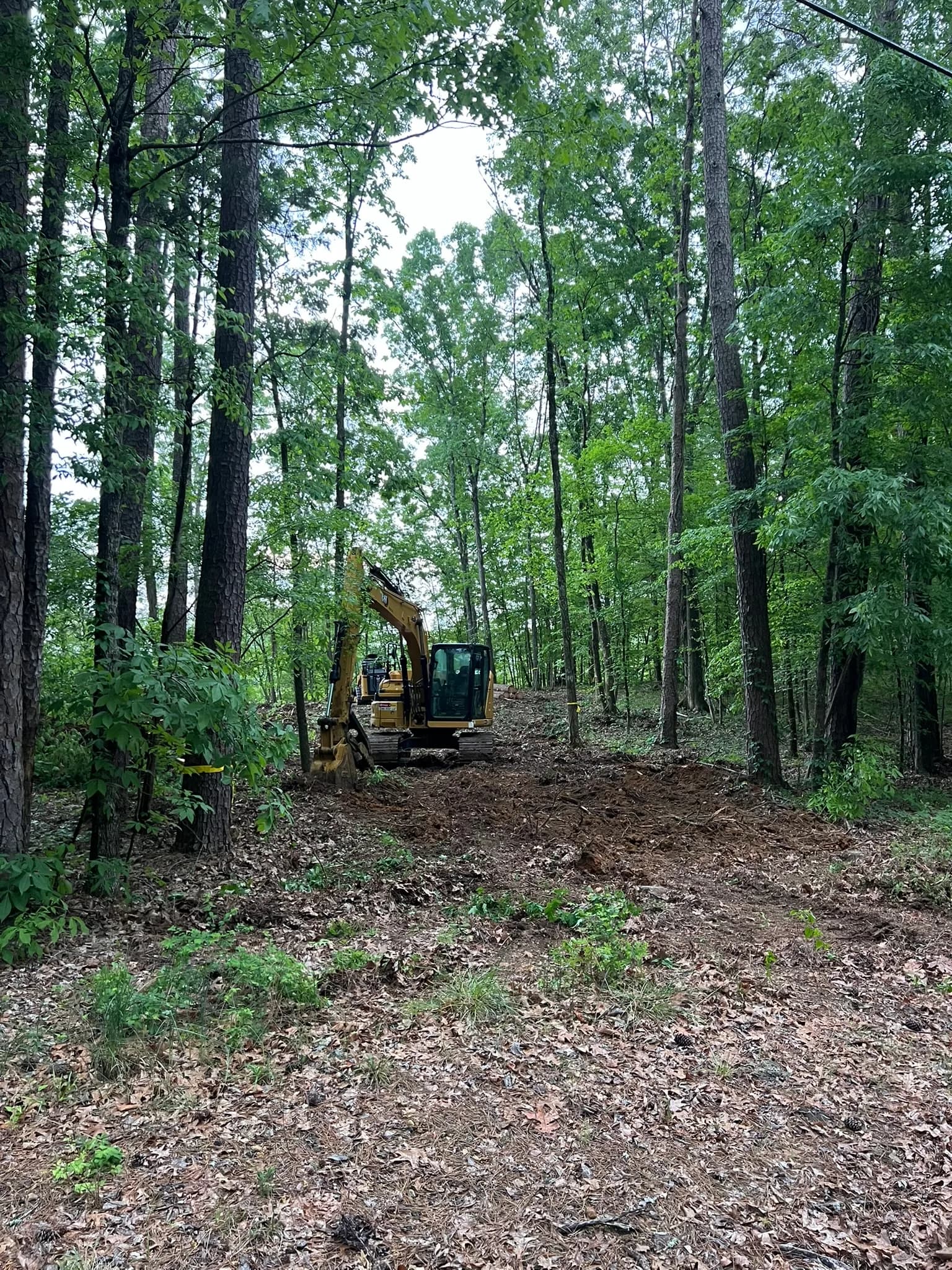 Comprehensive Land Clearing and Site Preparation — photo 9