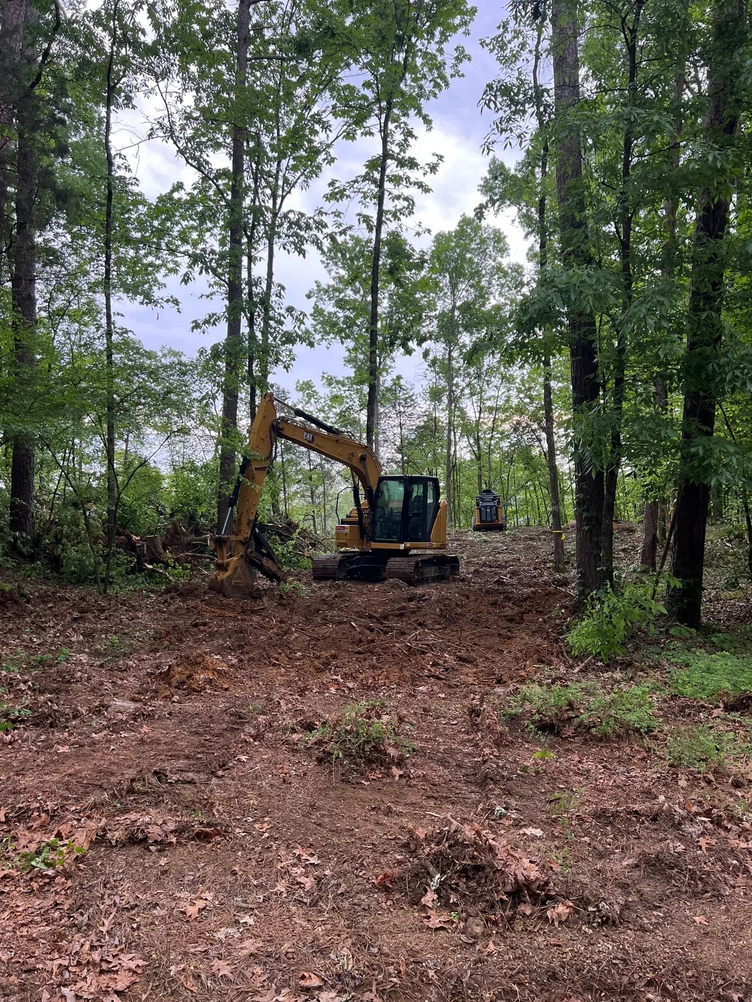 Comprehensive Land Clearing and Site Preparation — photo 50