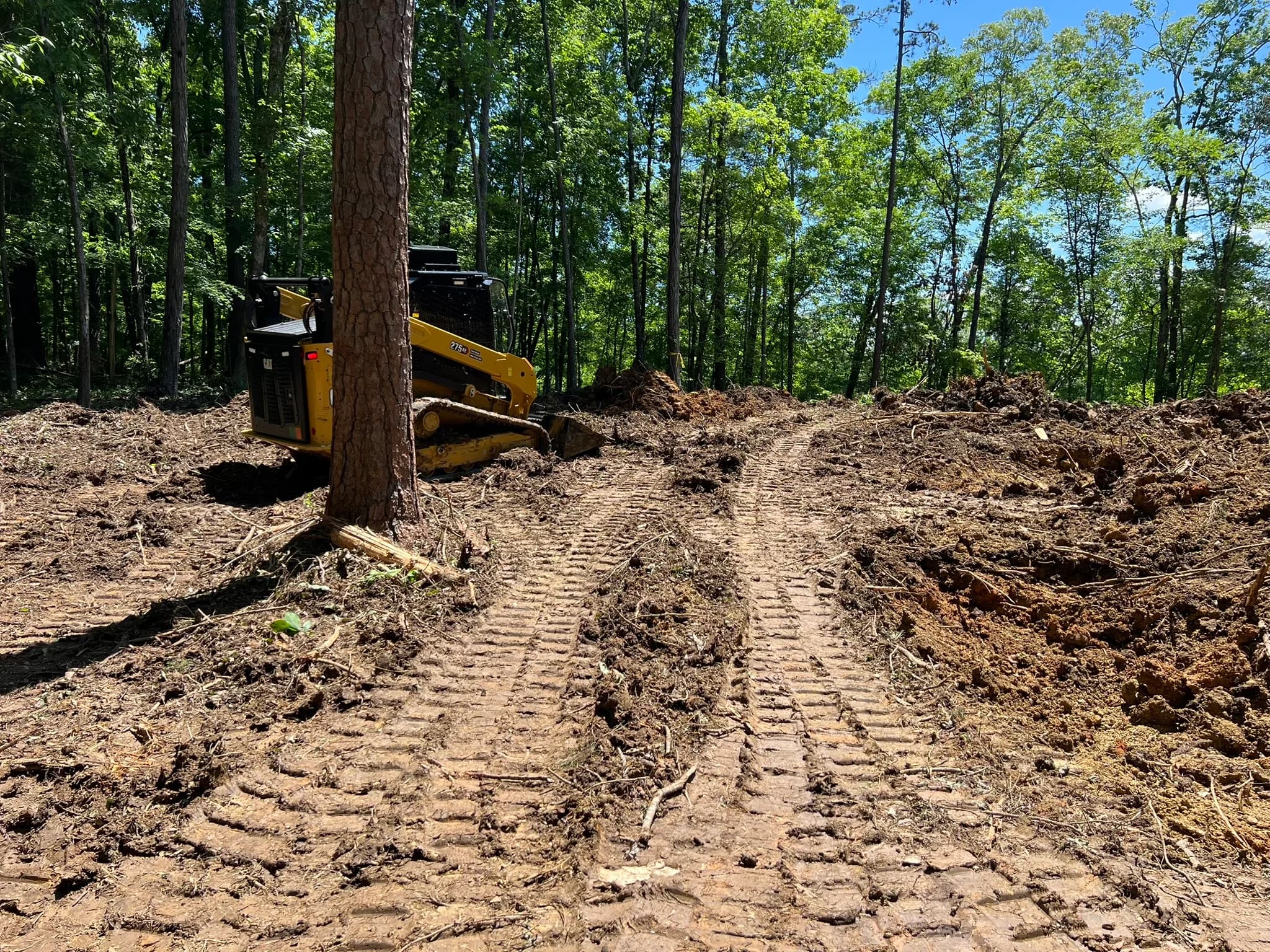 Comprehensive Land Clearing and Site Preparation — photo 53