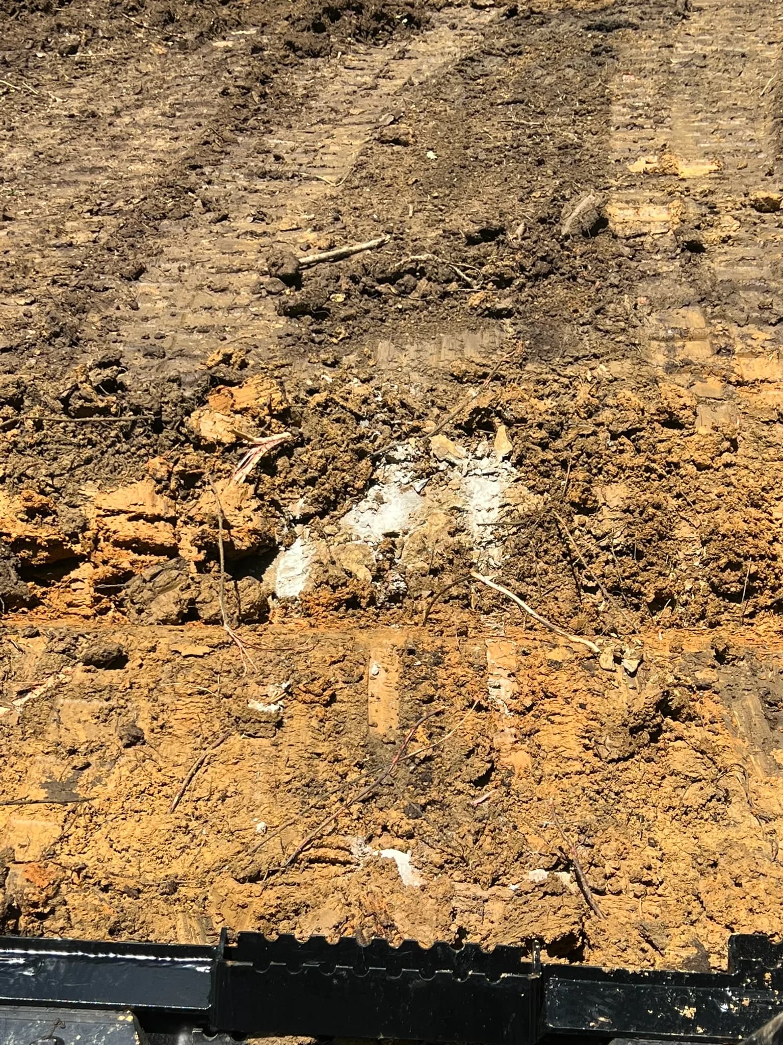 Comprehensive Land Clearing and Site Preparation — photo 28