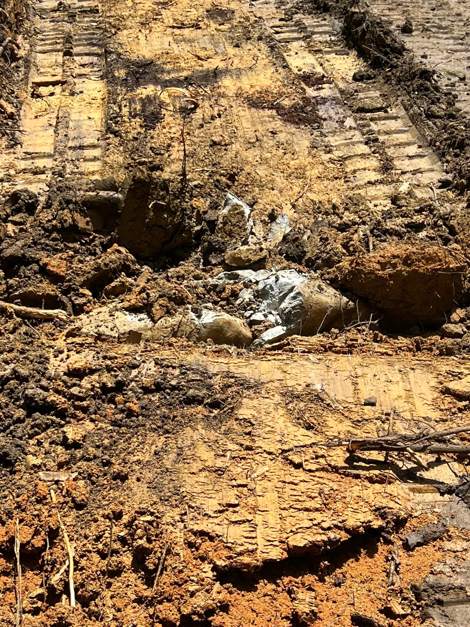 Comprehensive Land Clearing and Site Preparation — photo 32