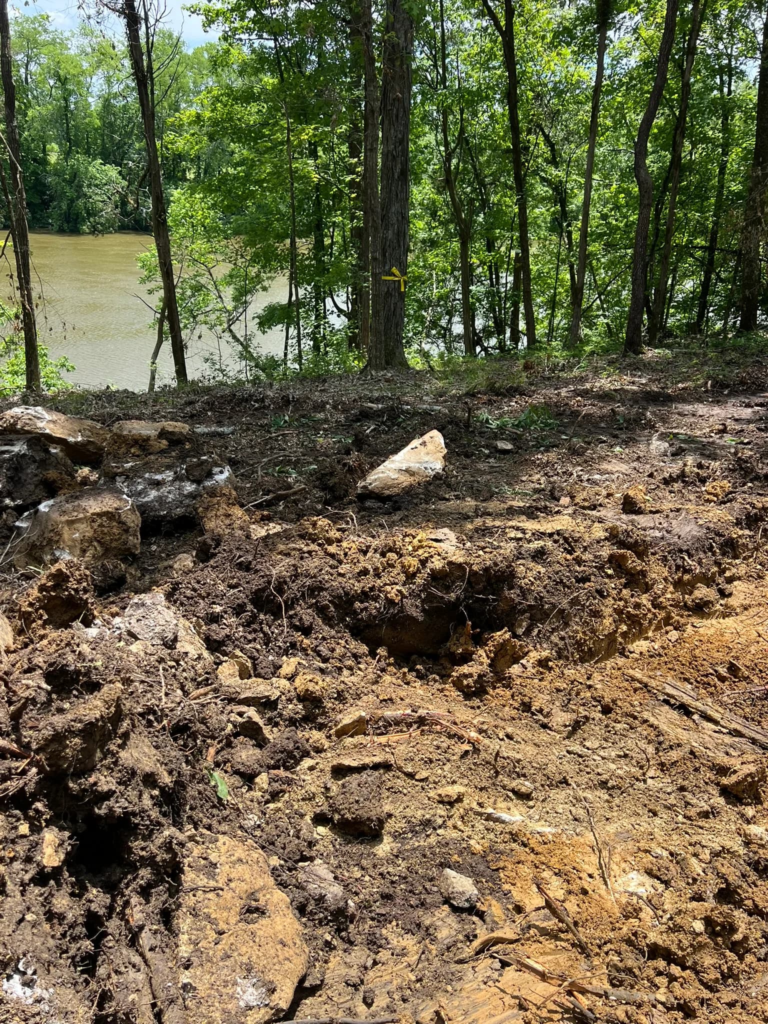 Comprehensive Land Clearing and Site Preparation — photo 55