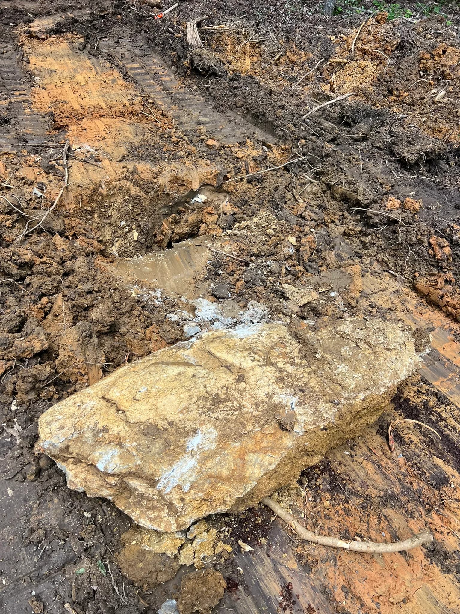 Comprehensive Land Clearing and Site Preparation — photo 29