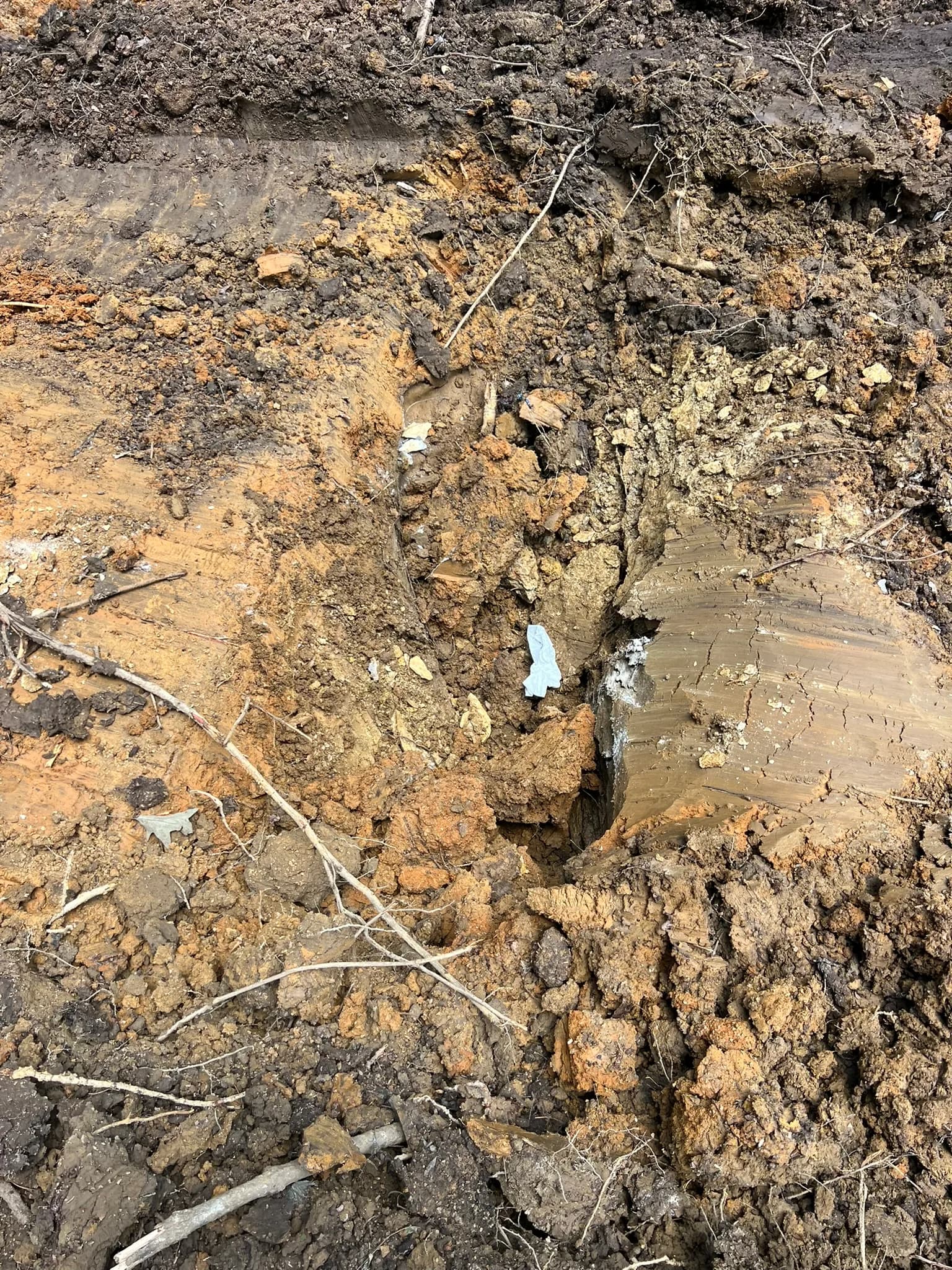 Comprehensive Land Clearing and Site Preparation — photo 35