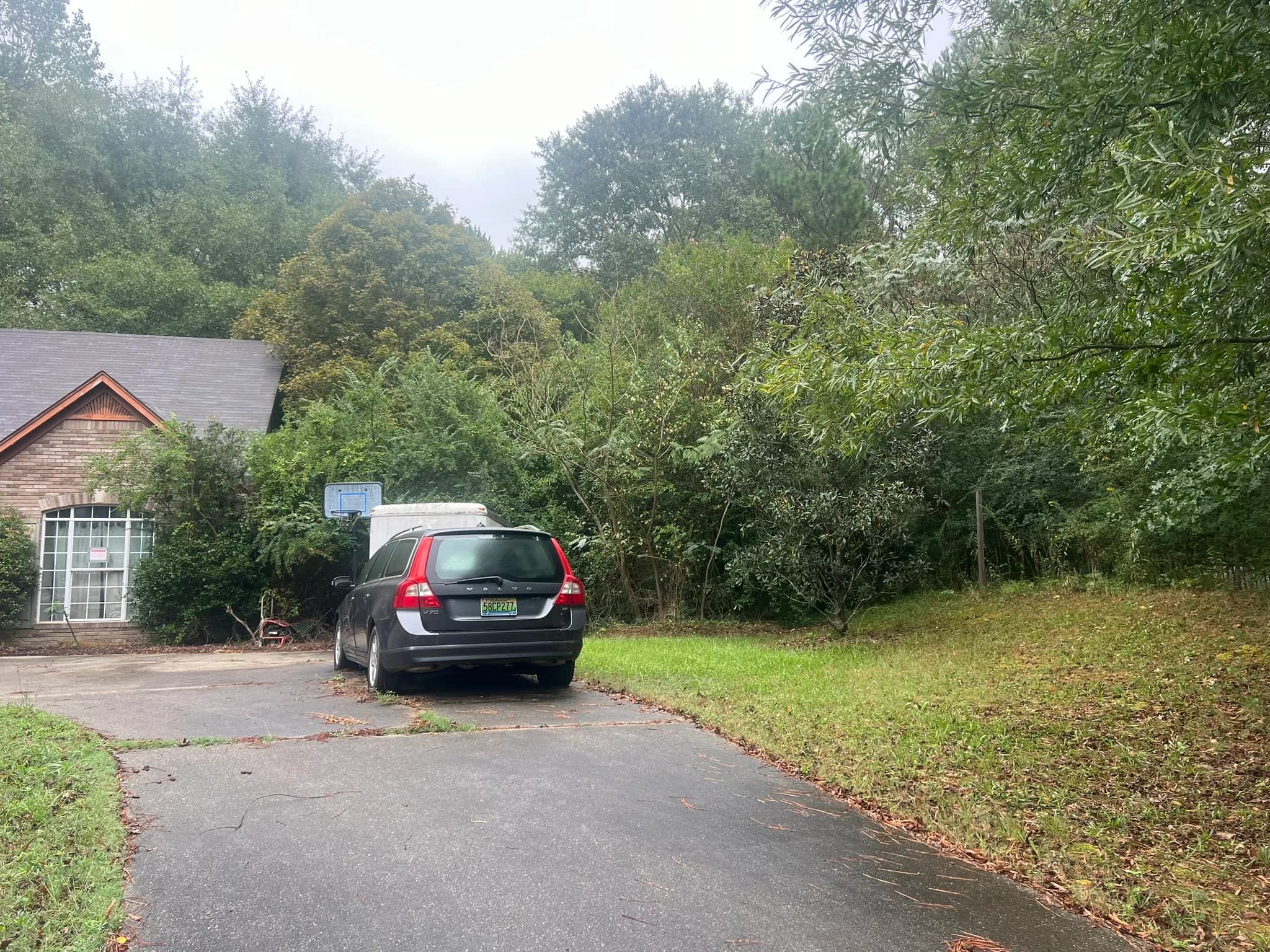 Residential Land Clearing and Landscaping Preparation — photo 3