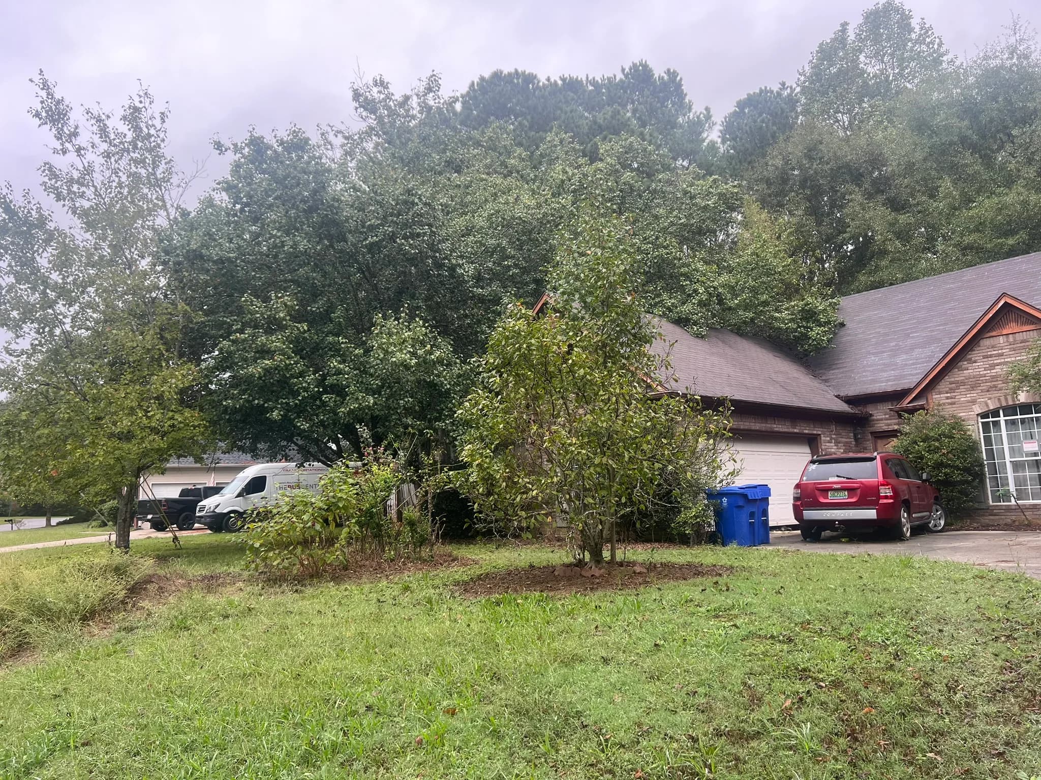 Residential Land Clearing and Landscaping Preparation — photo 6