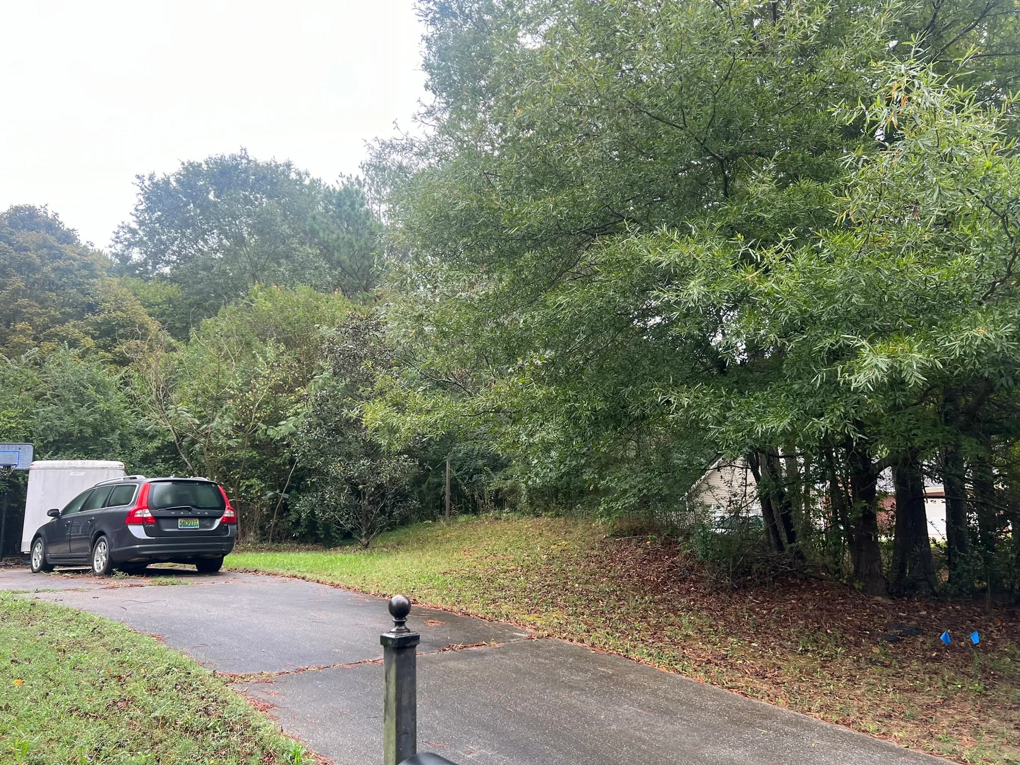Residential Land Clearing and Landscaping Preparation — photo 36