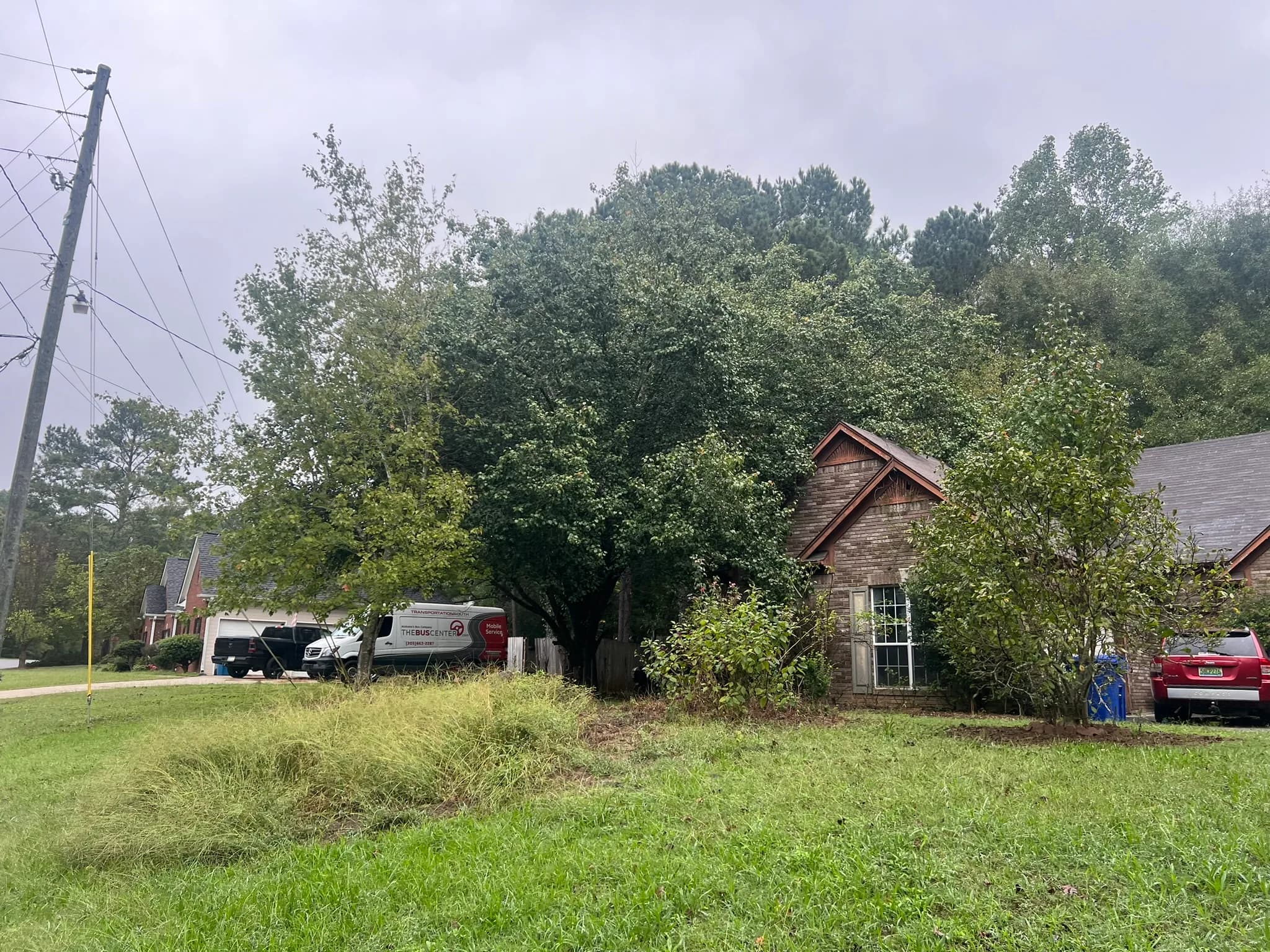 Residential Land Clearing and Landscaping Preparation — photo 11