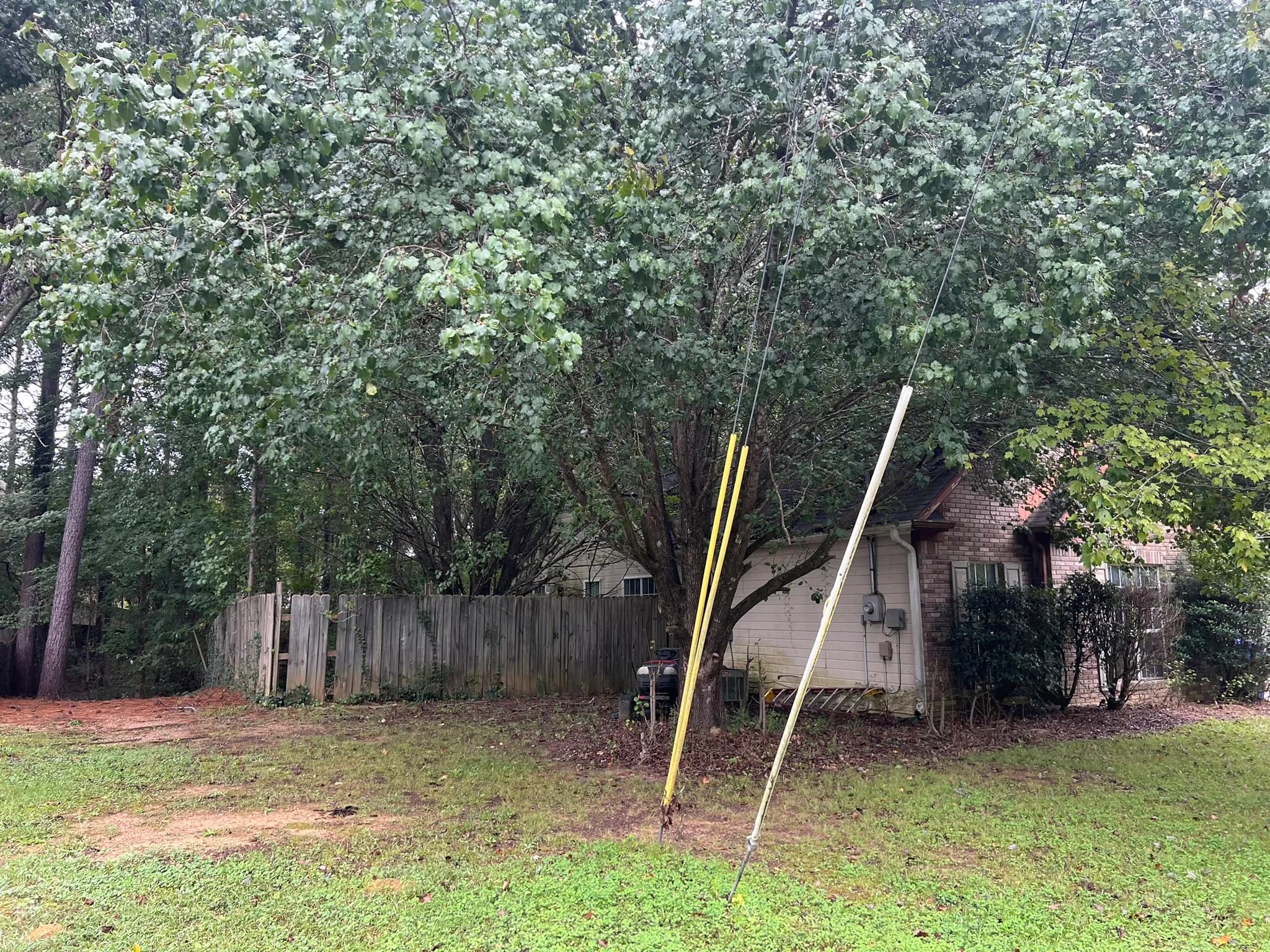 Residential Land Clearing and Landscaping Preparation — photo 40