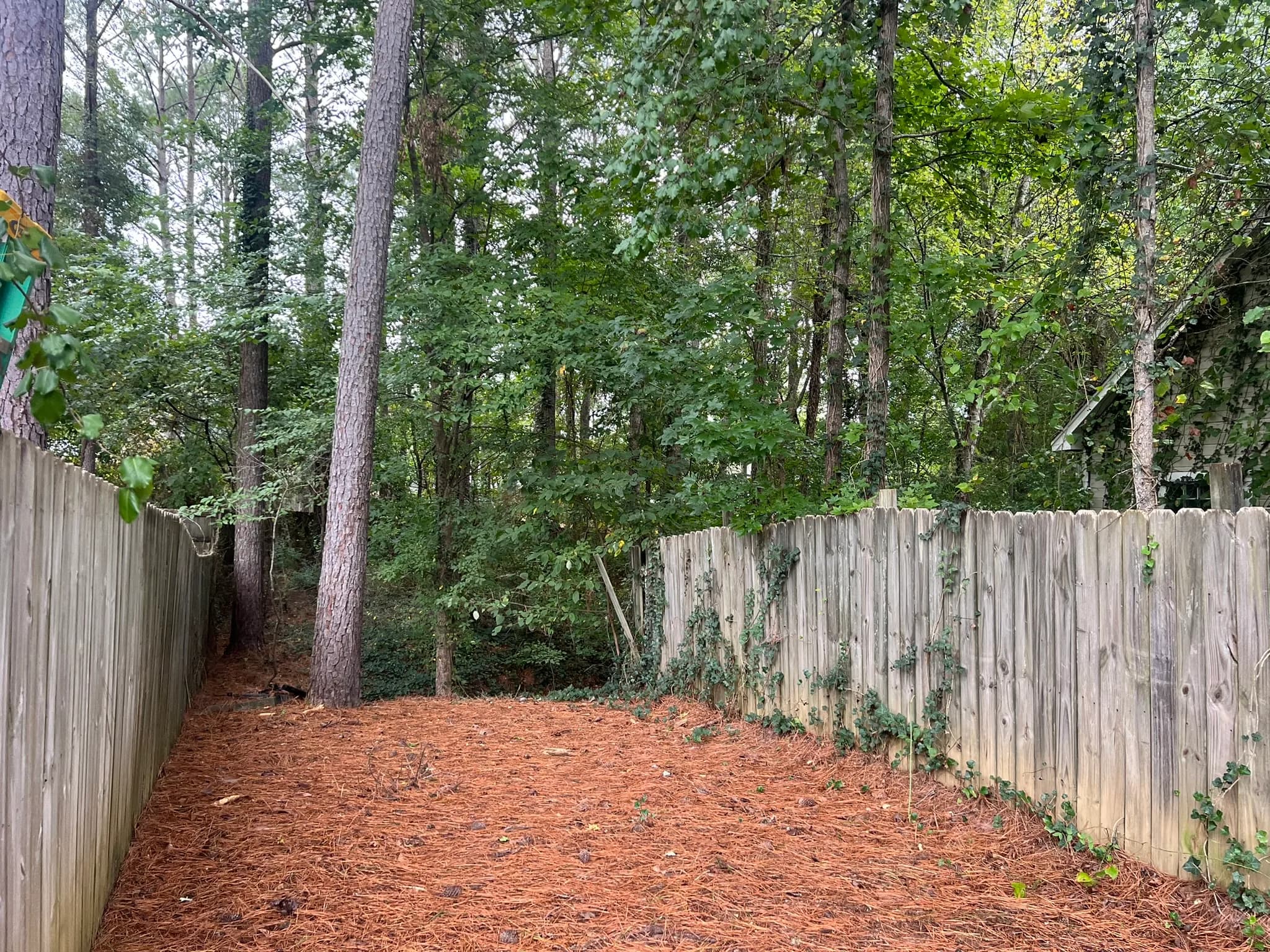Residential Land Clearing and Landscaping Preparation — photo 37
