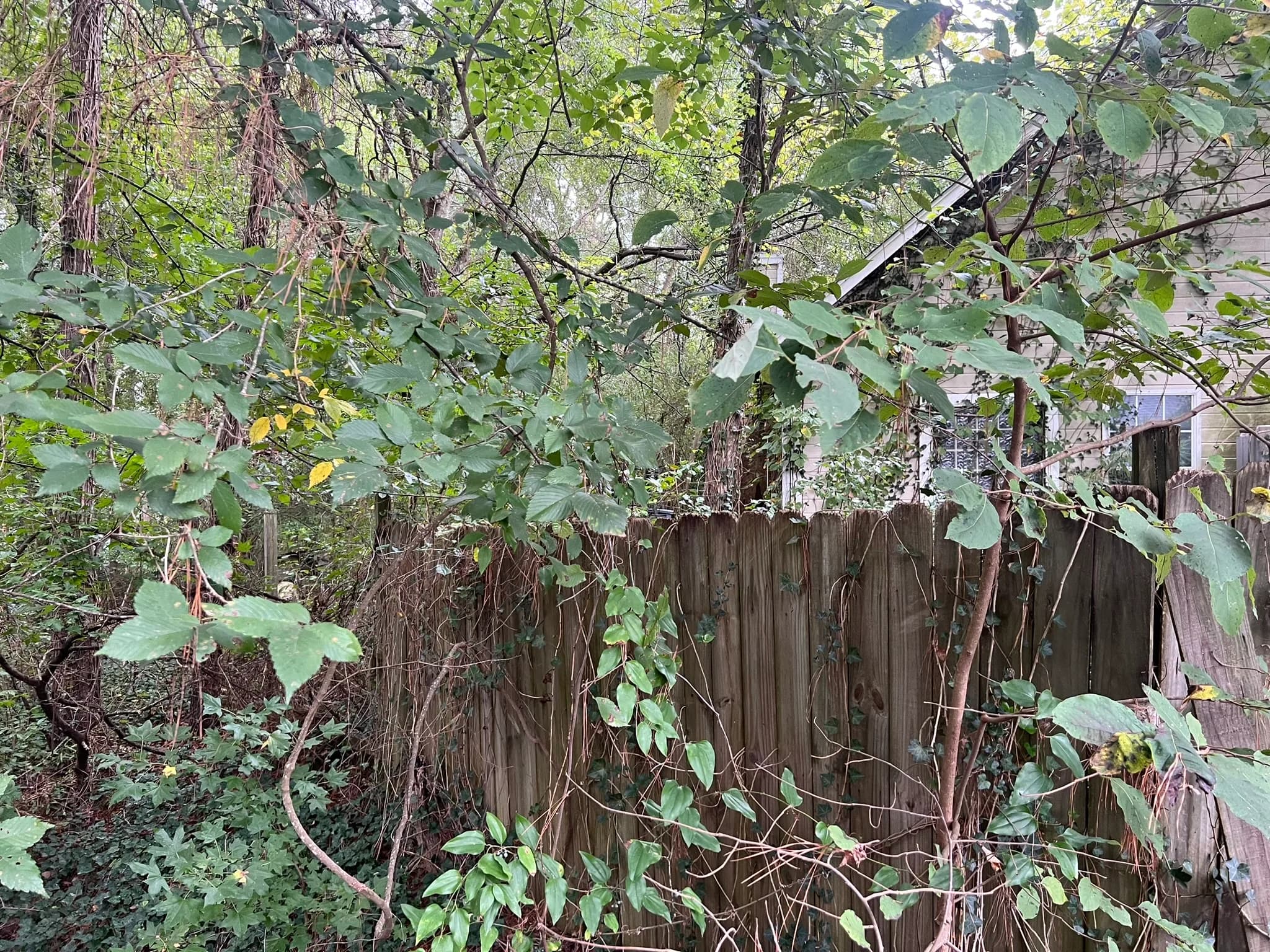 Residential Land Clearing and Landscaping Preparation — photo 30