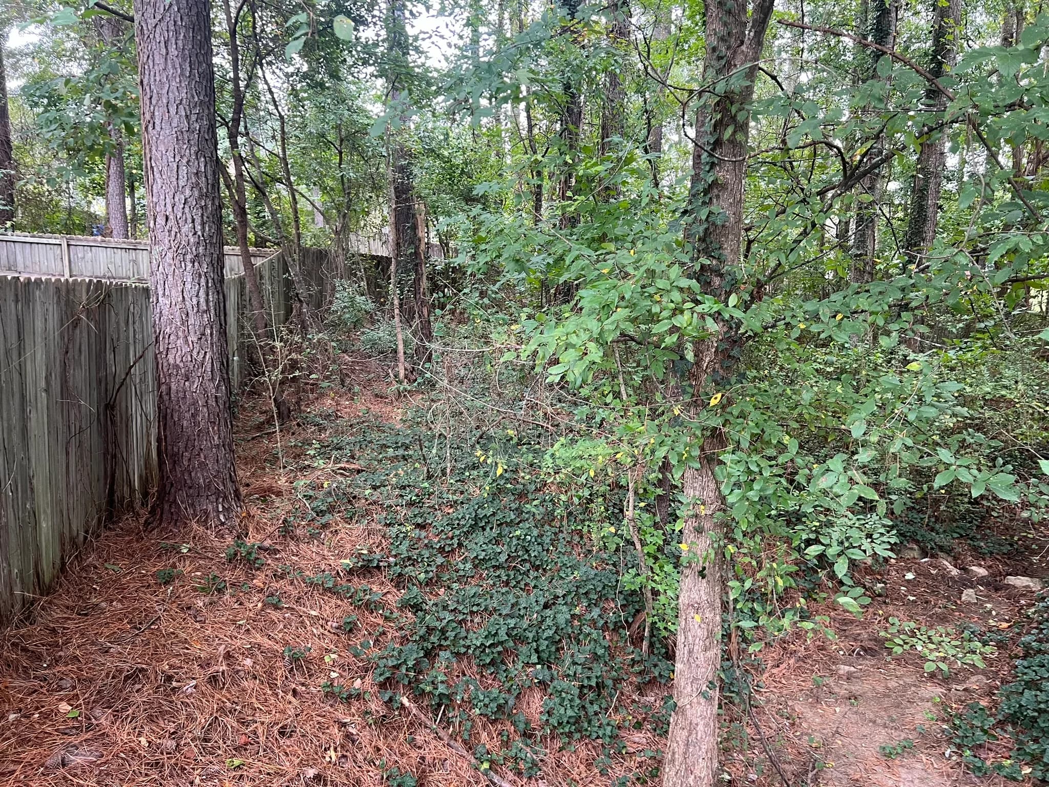 Residential Land Clearing and Landscaping Preparation — photo 33